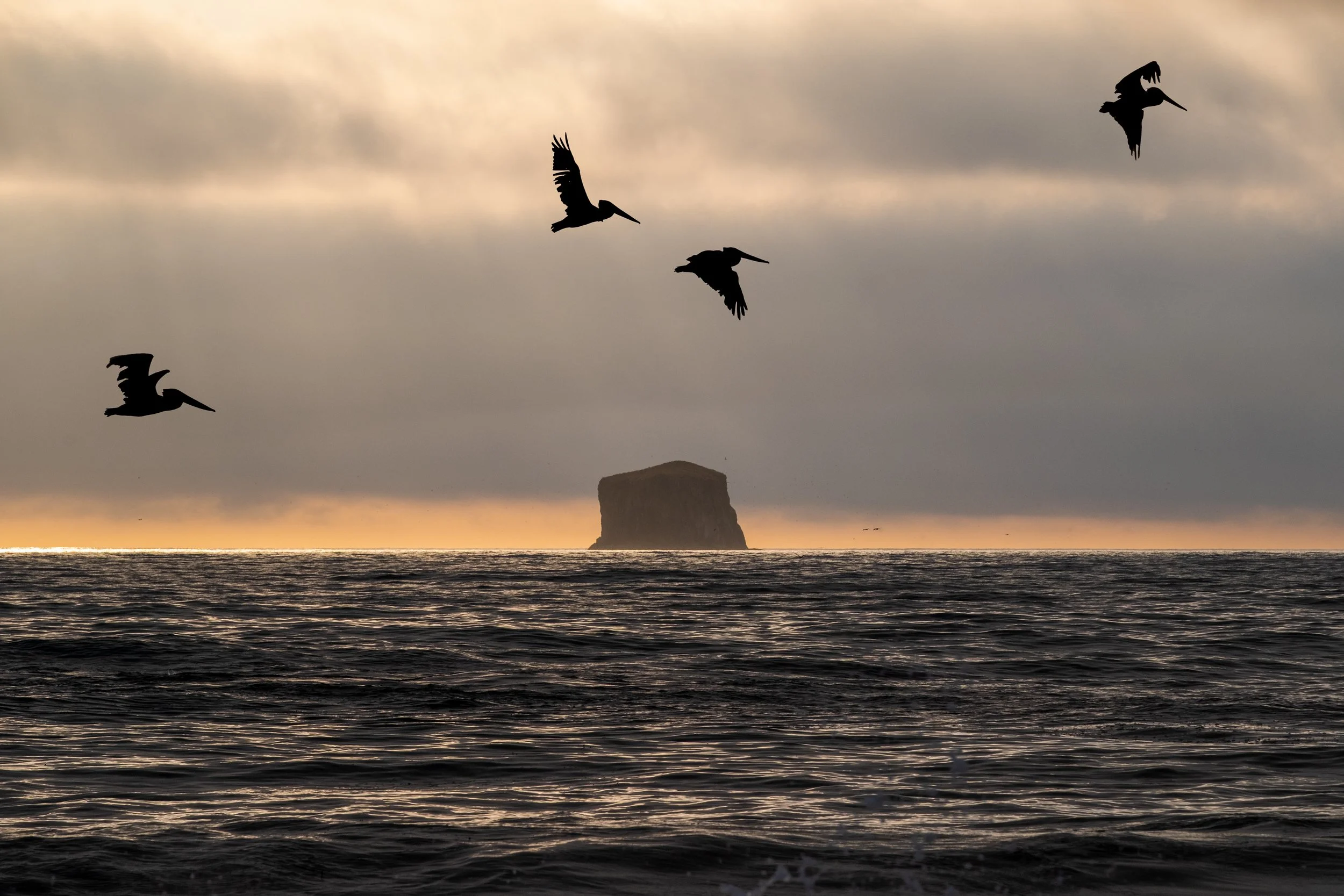 DSCF0606-2-Edit2 copy.jpg