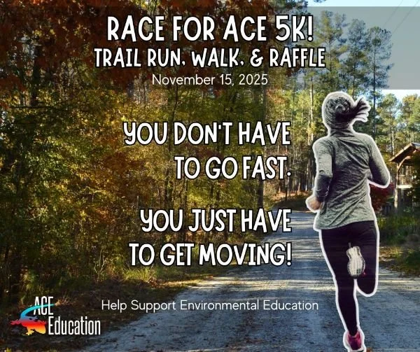 The Race for ACE 5K - November 15th