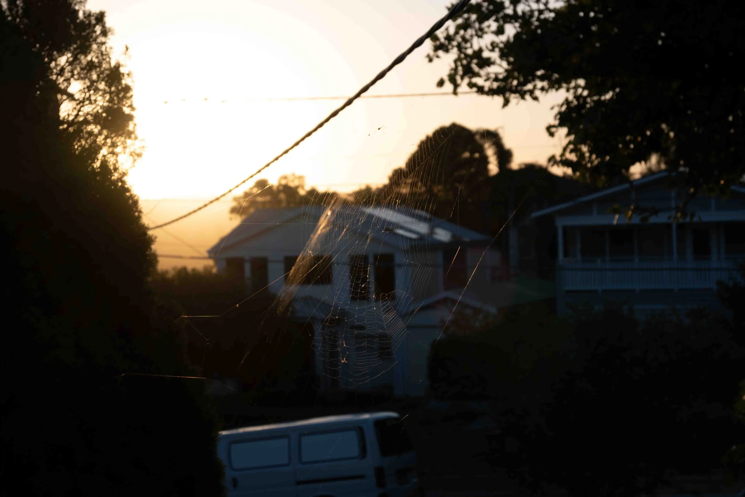 Collaroy Plateau, January 2026