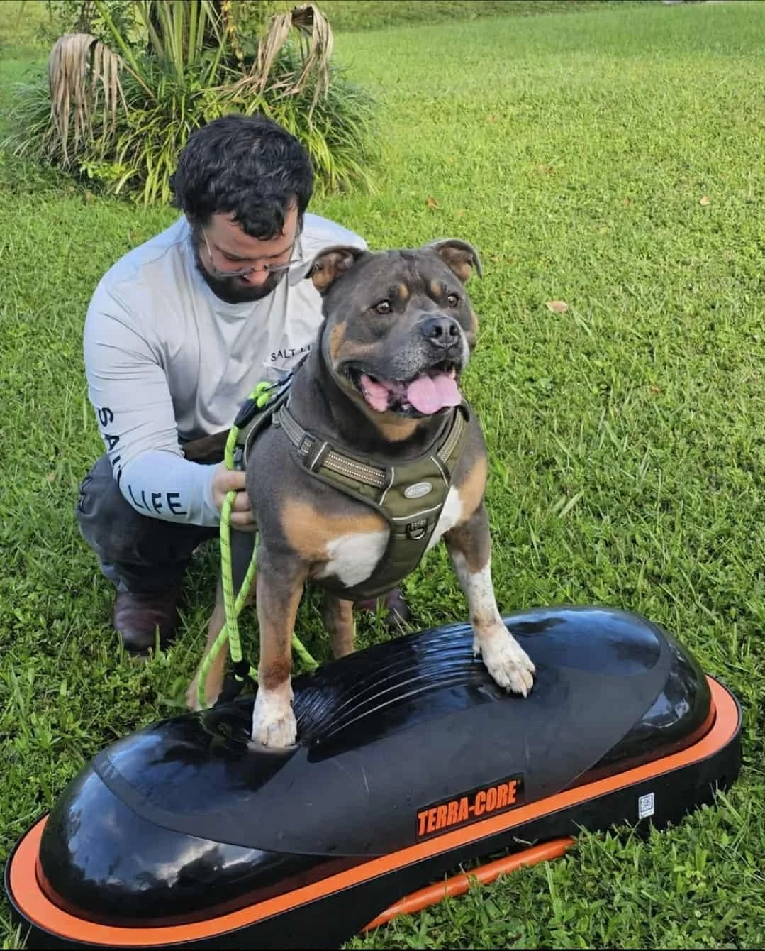 A man kneeling on the grass with a happy dog standing on an orange and black hoverboard. The dog is wearing a harness and the man is holding its leash. The background features green grass and some plants.