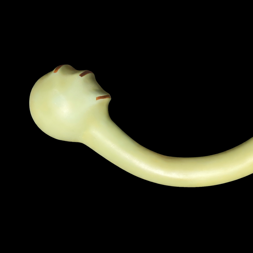 75 mm 3 electrode curved probe