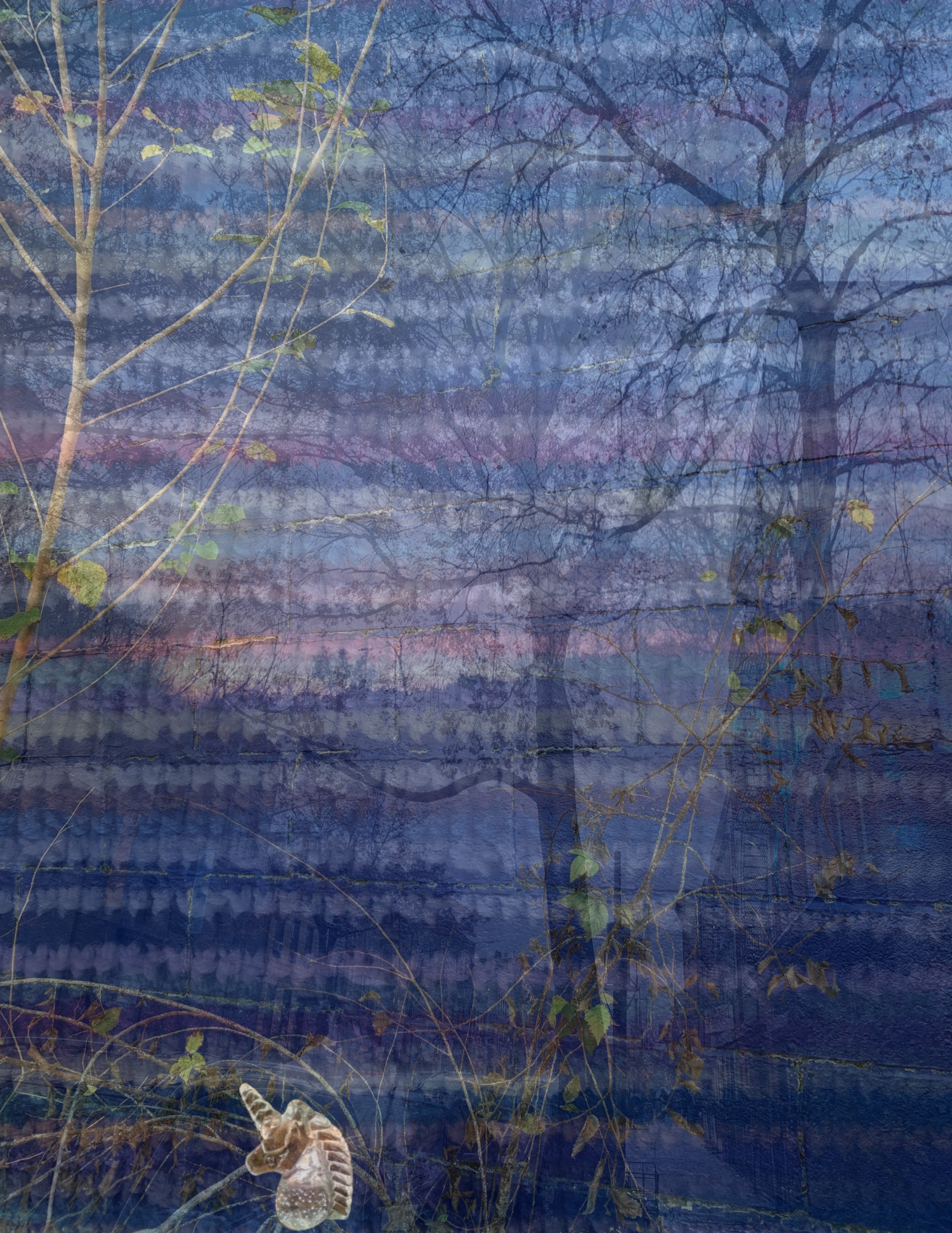 spiritual journey.png