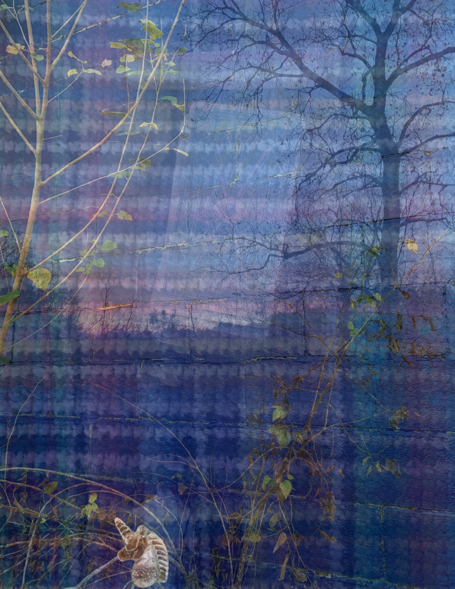 Two Card Tarot Reading