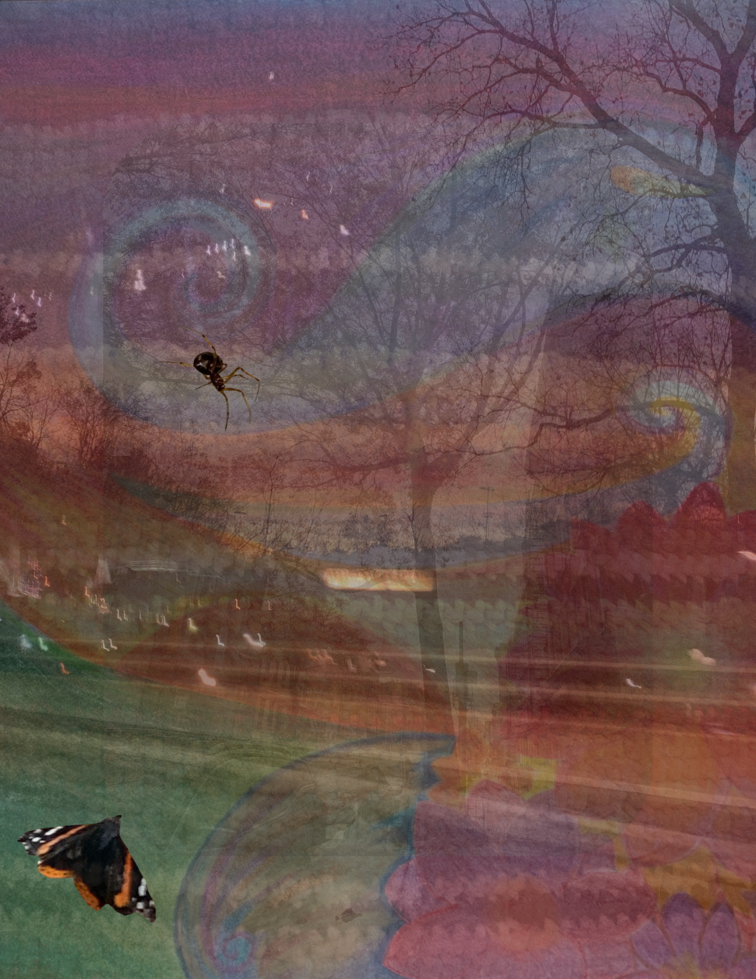 Live Mediumship Session