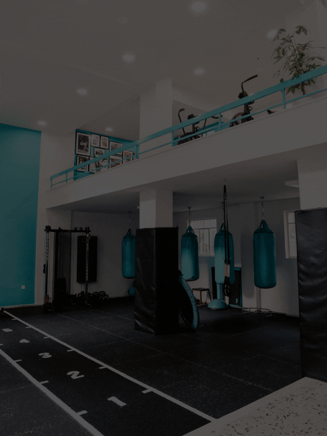 Wellness 360°