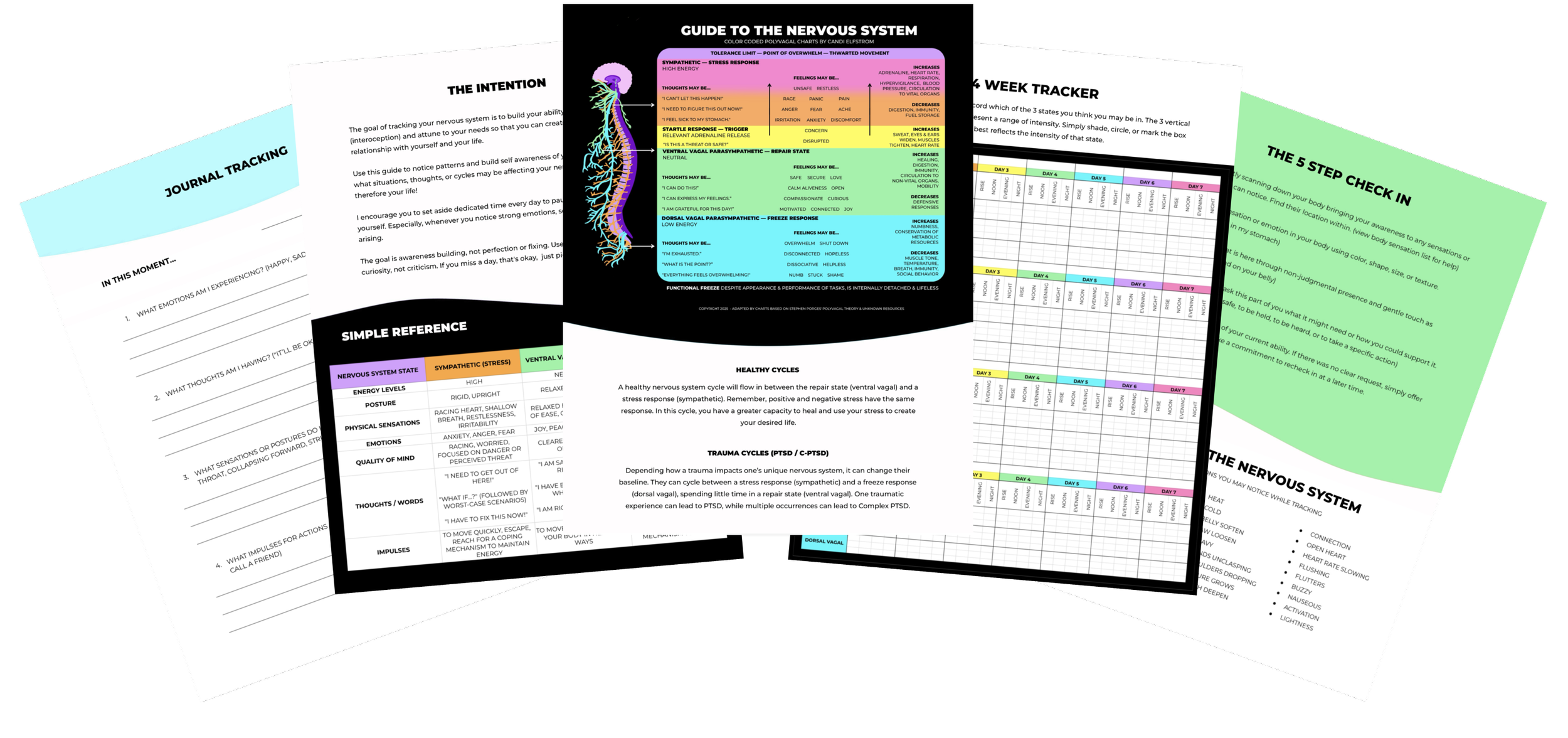 NERVOUS SYSTEM TRACKING GUIDE