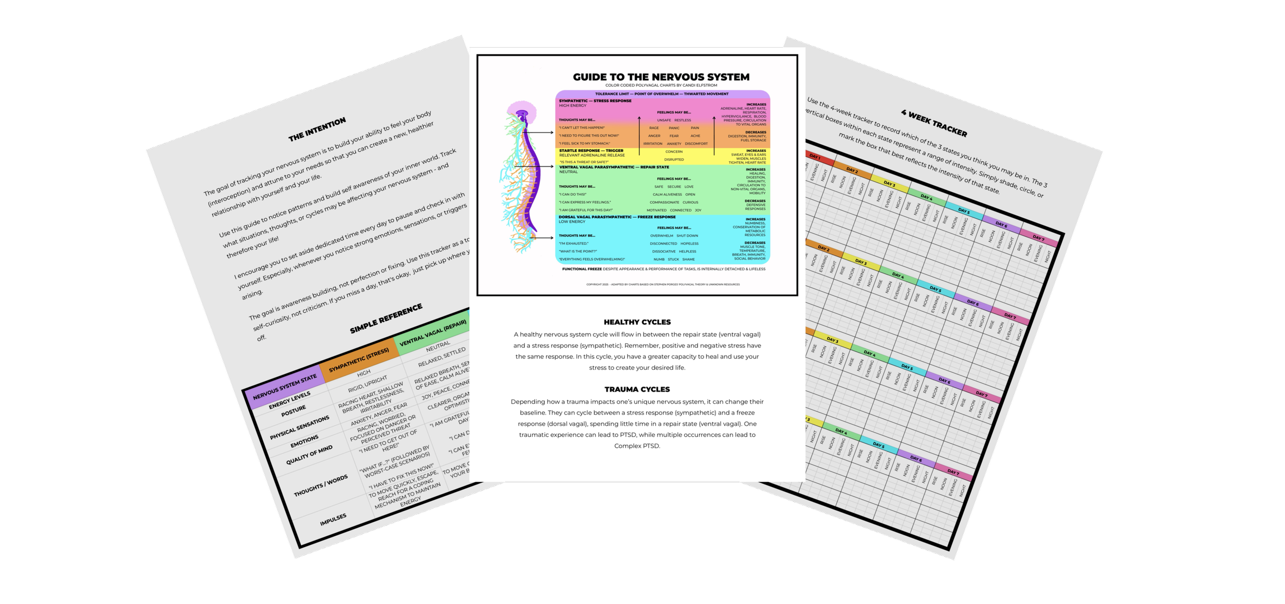 NERVOUS SYSTEM TRACKING GUIDE
