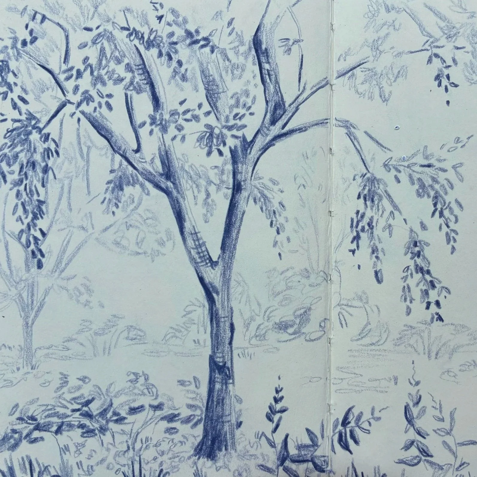 Central Park trees