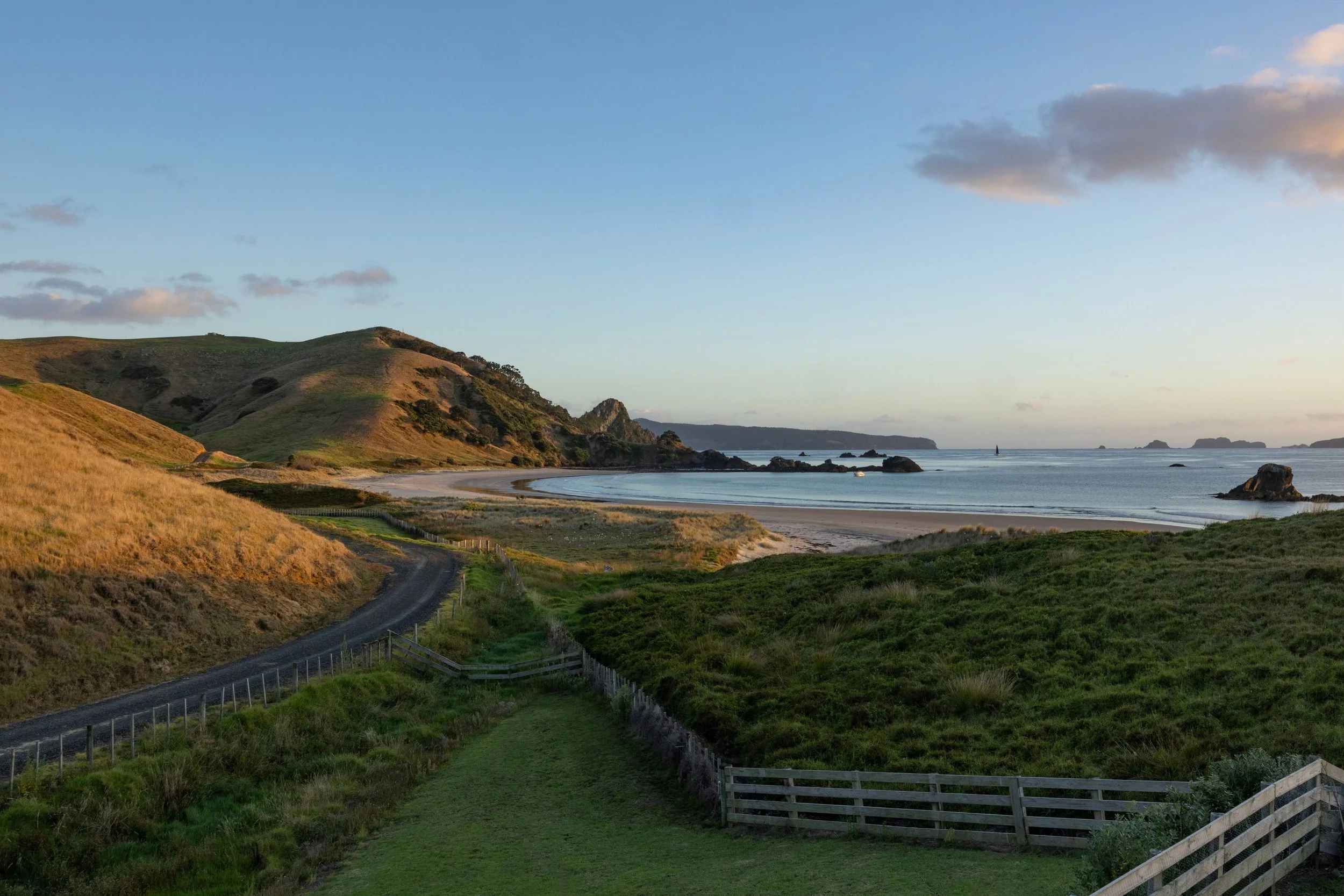 A coastal landscape during sunset with a winding road leading to a beach, green grassy hills, rocky formations in the ocean, and a partly cloudy sky at Opito Point Lodge, luxury beachfront accommodation.