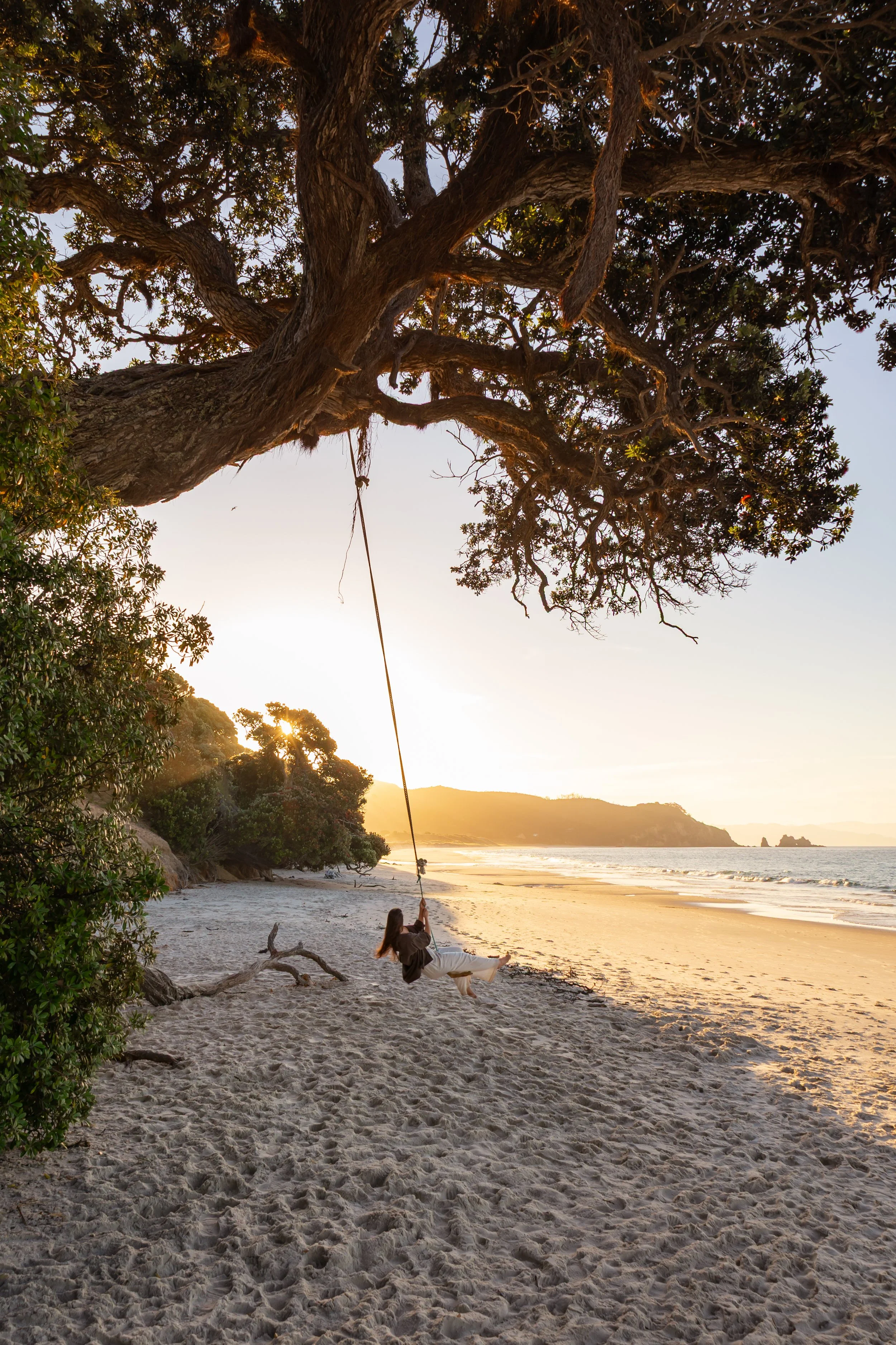 Opito Bay Beach Swing near Opito Point Lodge - Luxury Accommodation in Coromandel, New Zealand