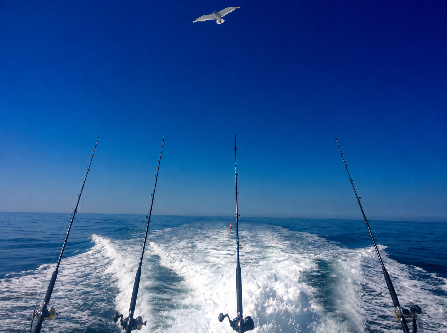 Charter fishing.png