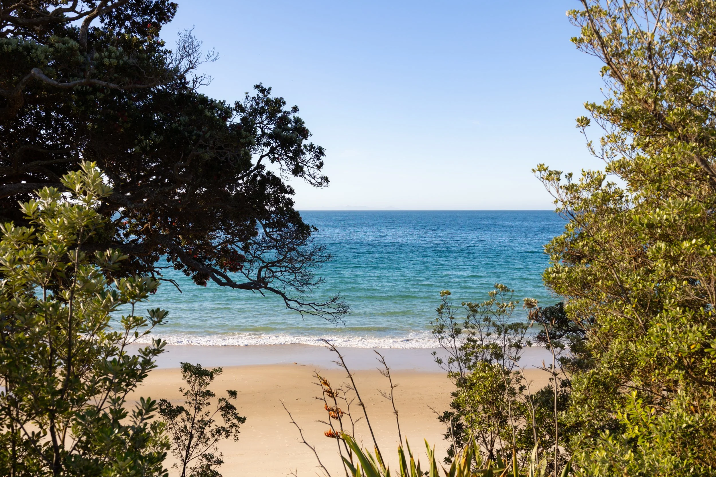 Opito Bay Beach near Opito Point Lodge - Luxury Accommodation in Coromandel, New Zealand