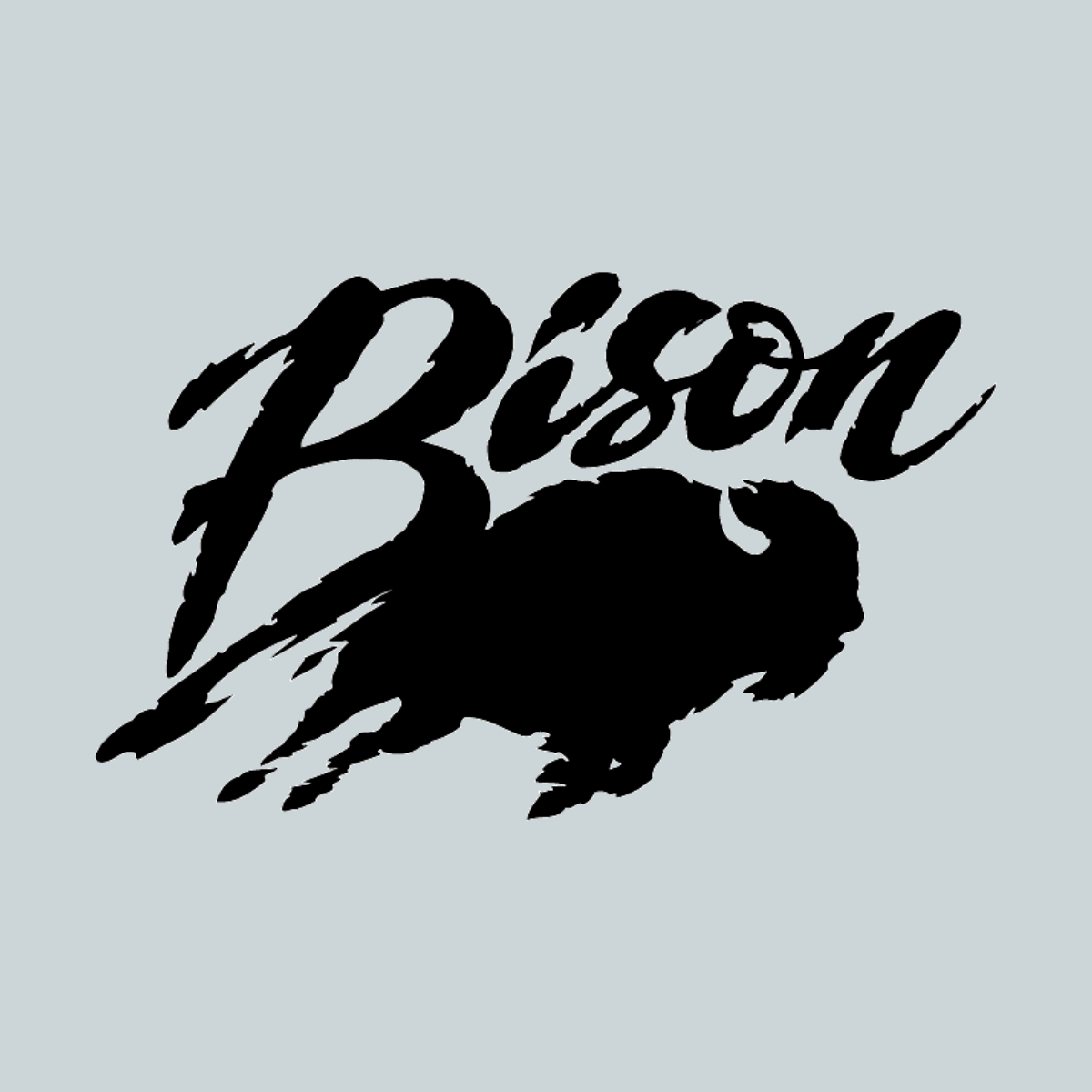 Bison Volleyball Standards and Net Systems