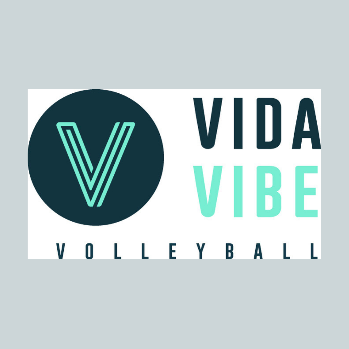 Vida Vibe Volleyball 