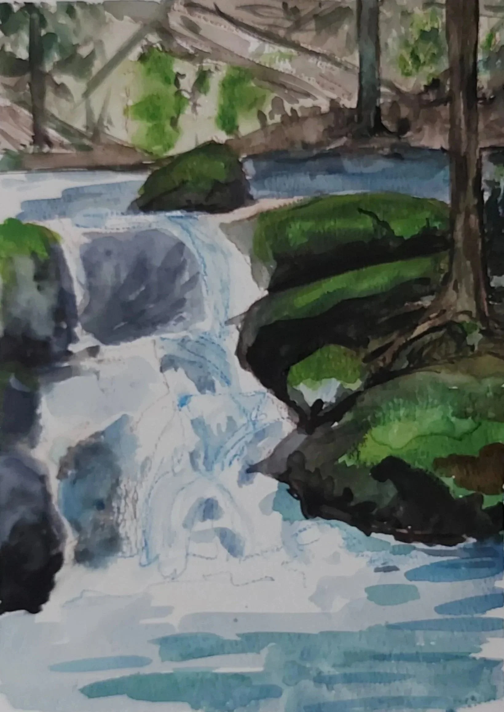 Katherine McHarg, Mossy Runoff, 2023, Watercolour on Paper, 12 x 9", Sold