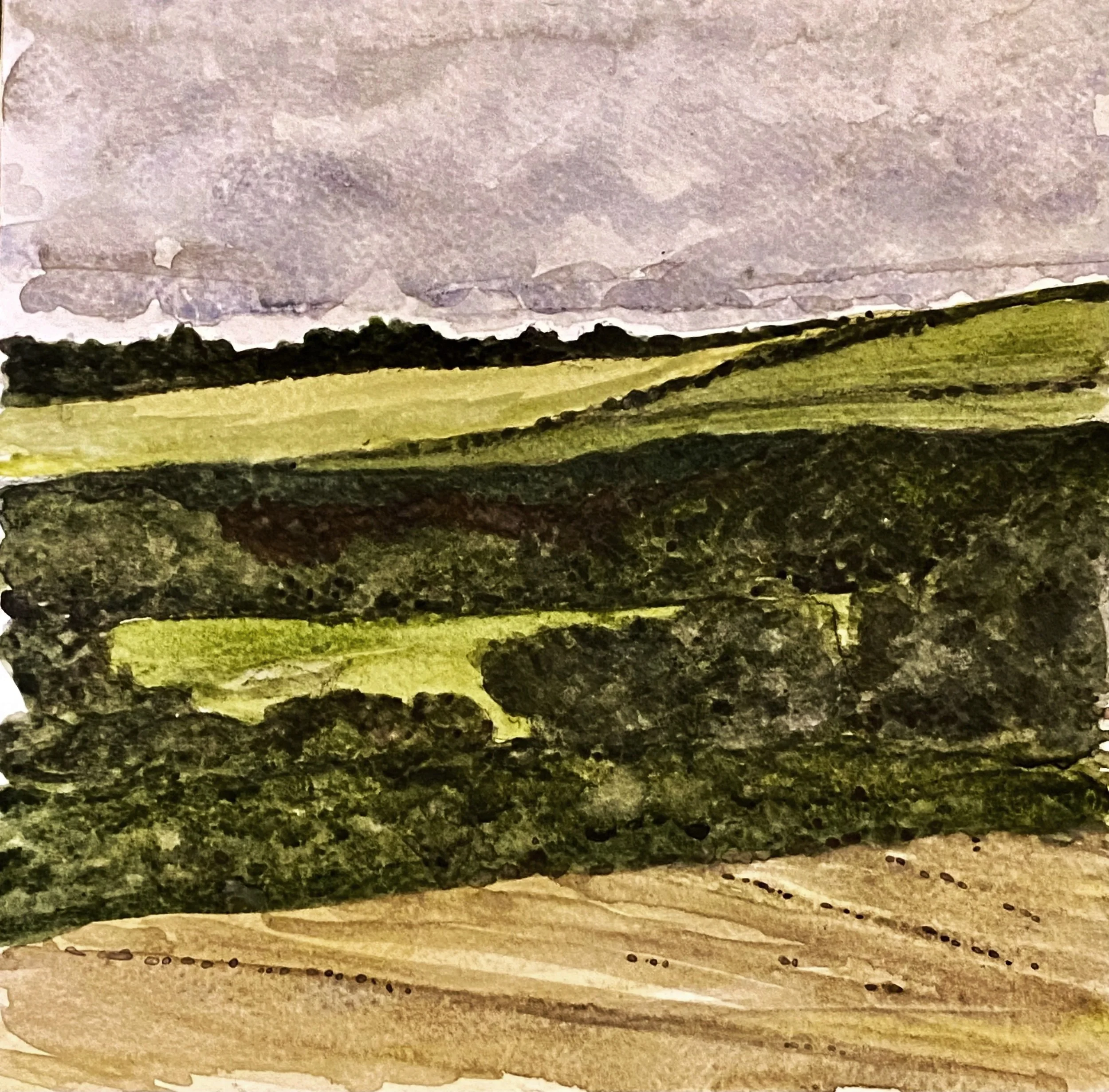 Katherine McHarg, "Cornish Meadows", 2026, Watercolour on Paper, 8 x 8"