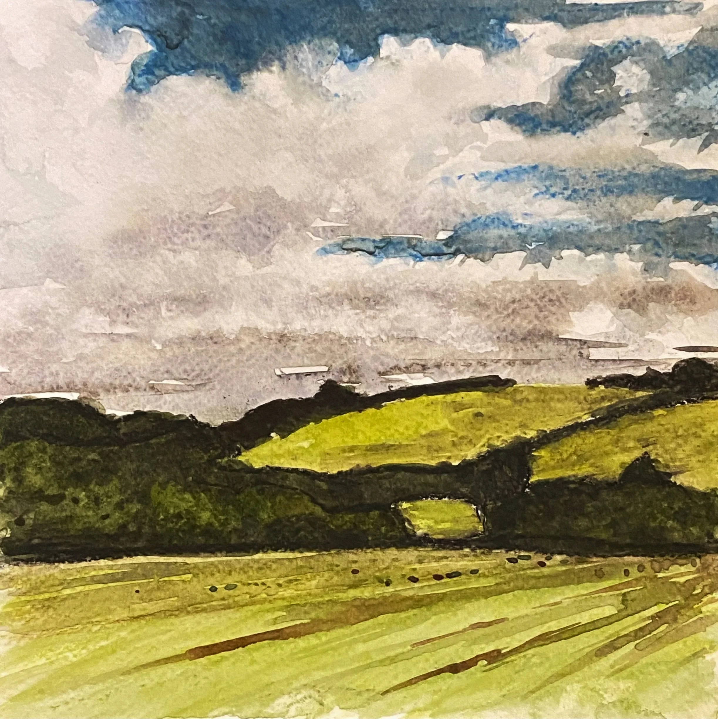 Katherine McHarg, "Cornish Barley Fields", 2026, Watercolour on Paper, 8 x 8"