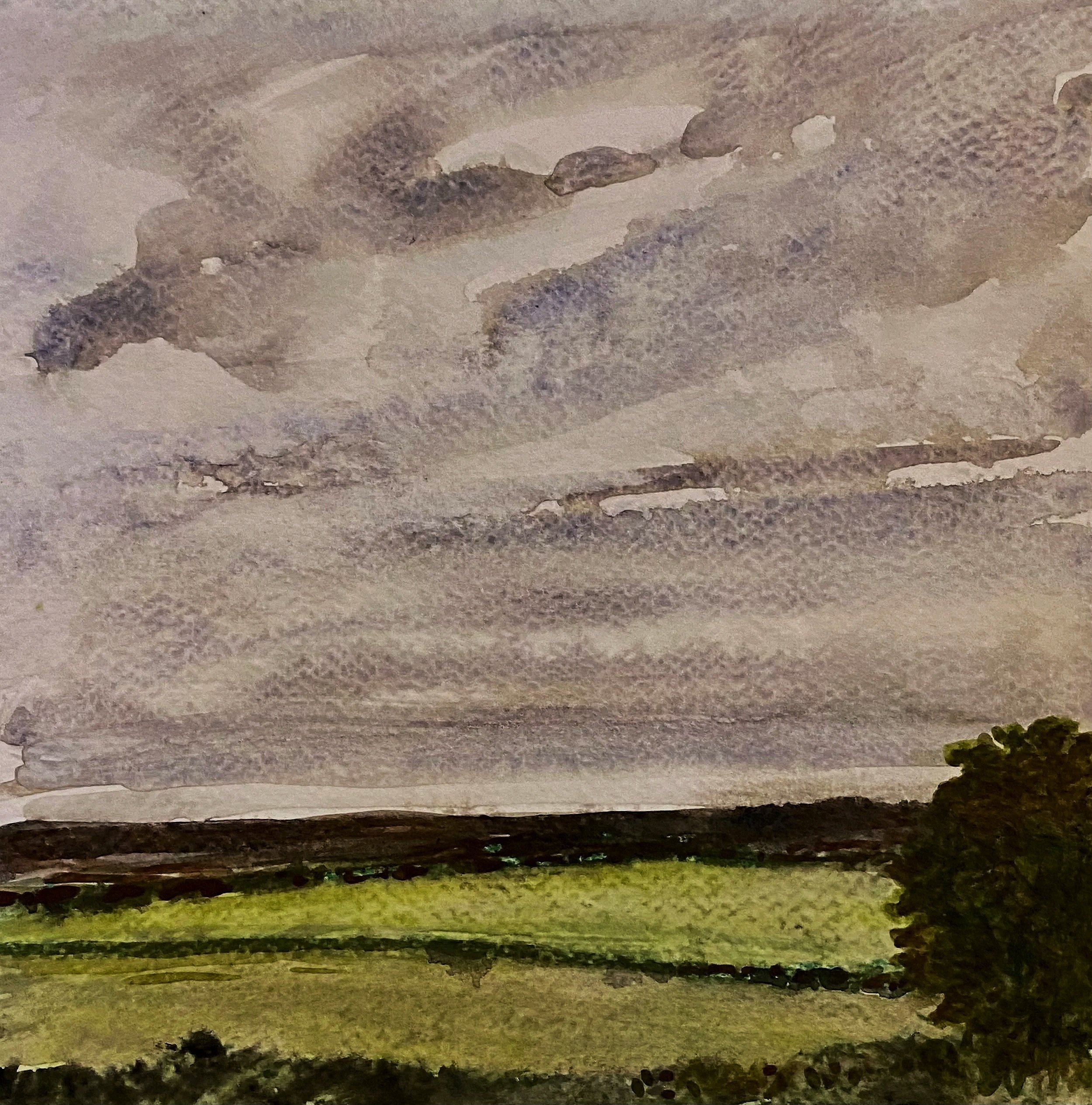Katherine McHarg, "Cornish Hedgerows", 2026, Watercolour on Paper, 8 x 8"