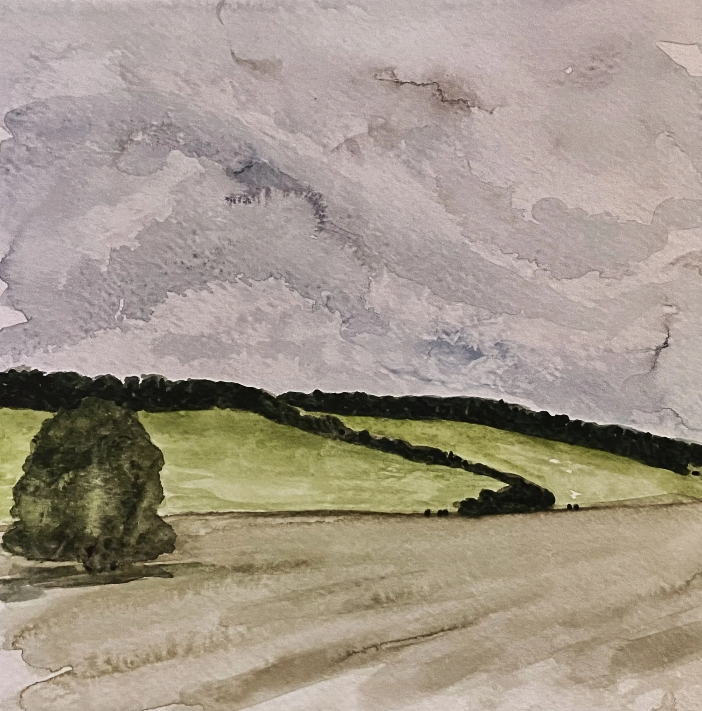 Katherine McHarg, "Cornish Hedgerow Hills", 2026, Watercolour on Paper, 8 x 8"