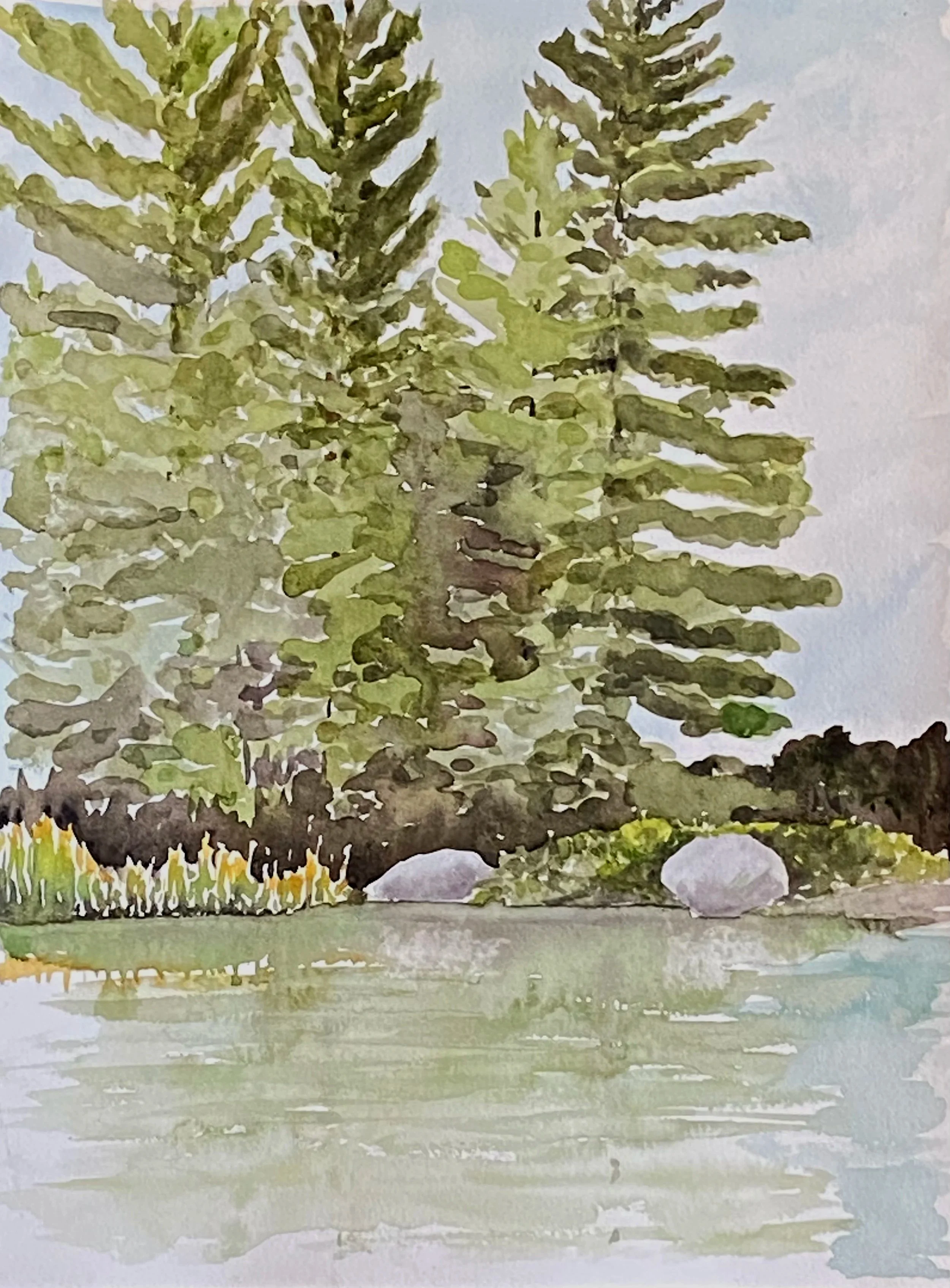 Katherine McHarg, "Loon Nest", 2026, Watercolour on Paper, 16" x 12"