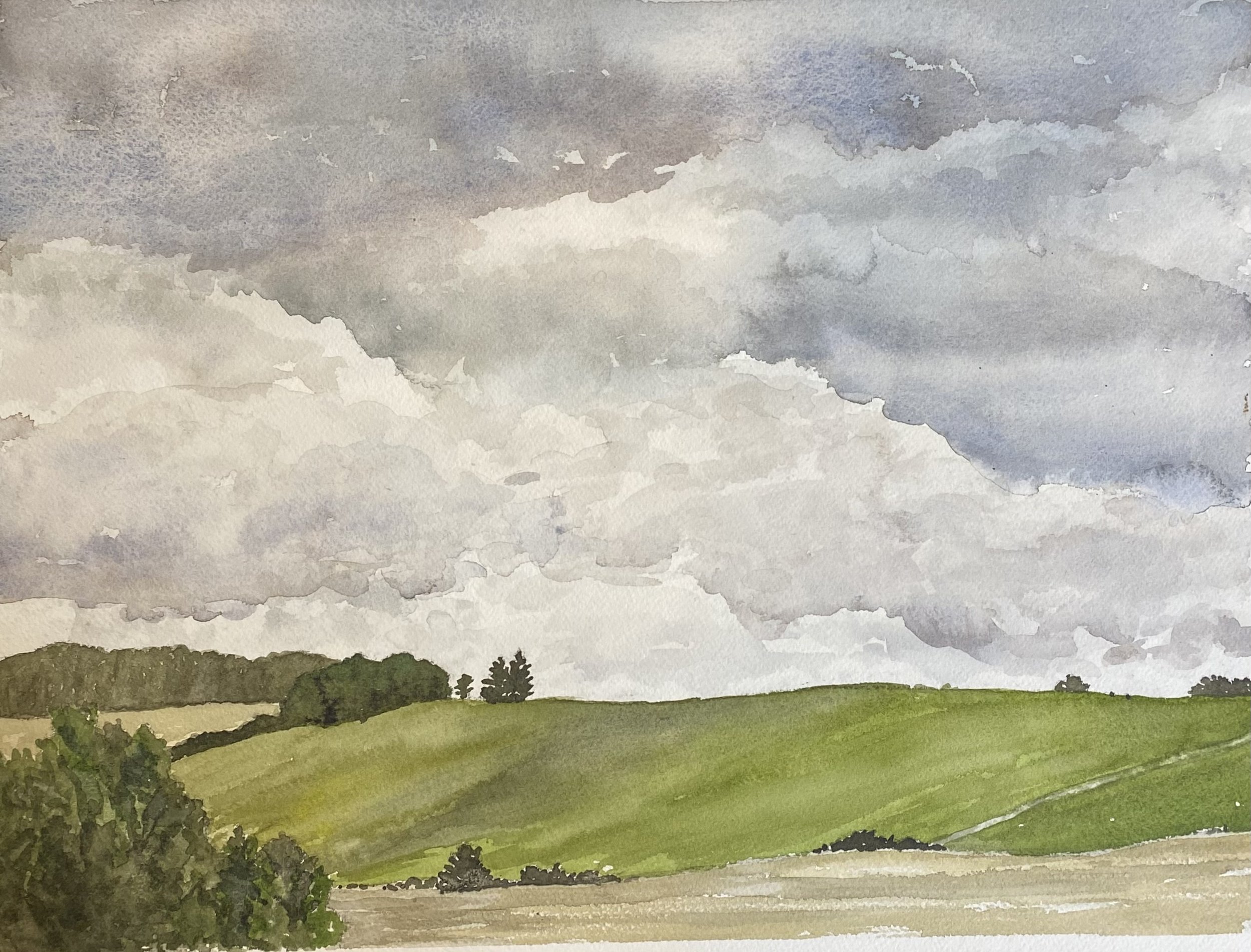 Katherine McHarg, Spring Winter Wheat on Garden Hill, 2026, Watercolour on Paper, 12 x 16"
