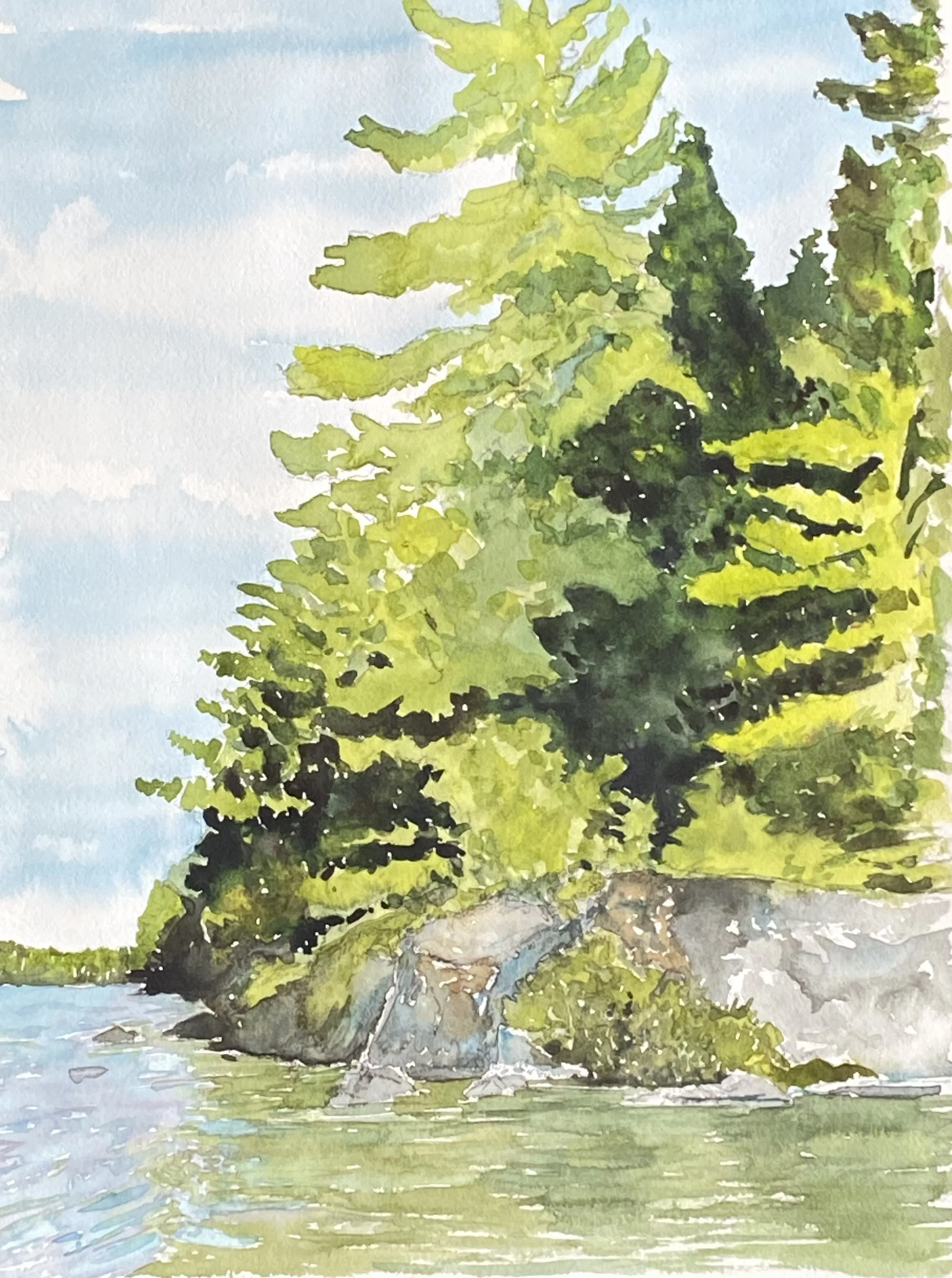 Katherine McHarg, "Windy Pines", 2026, Watercolour on Paper, 16" x 12"
