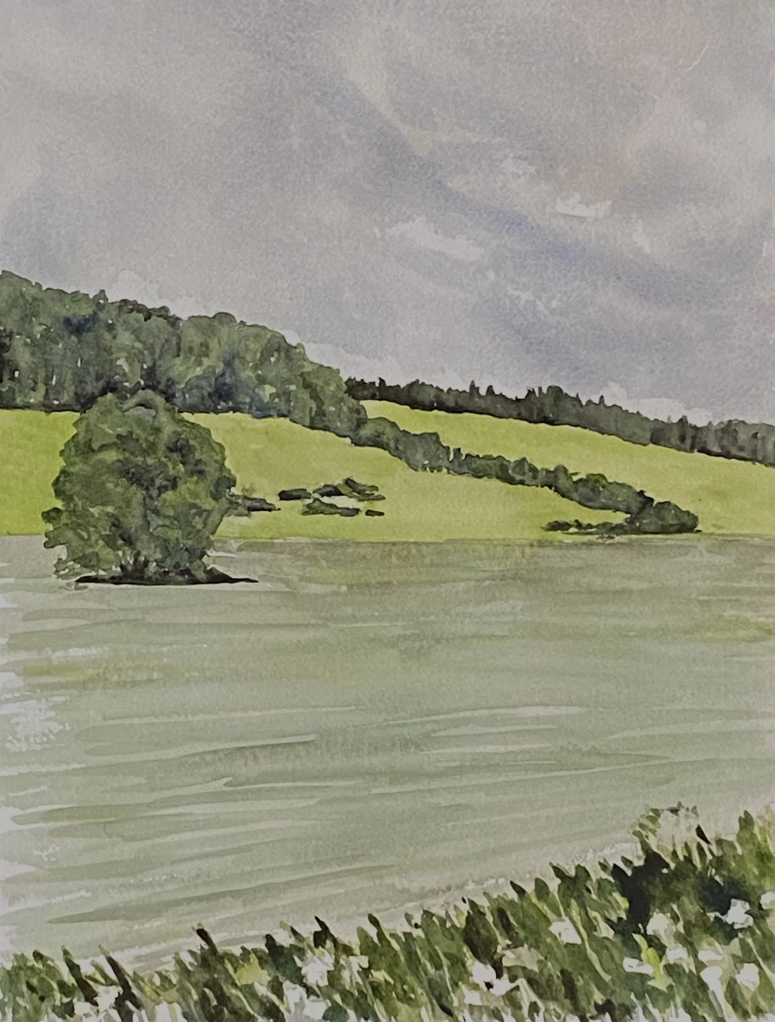 Katherine McHarg, "Cornwall Fields", 2026, Watercolour on Paper, 16" x 12"