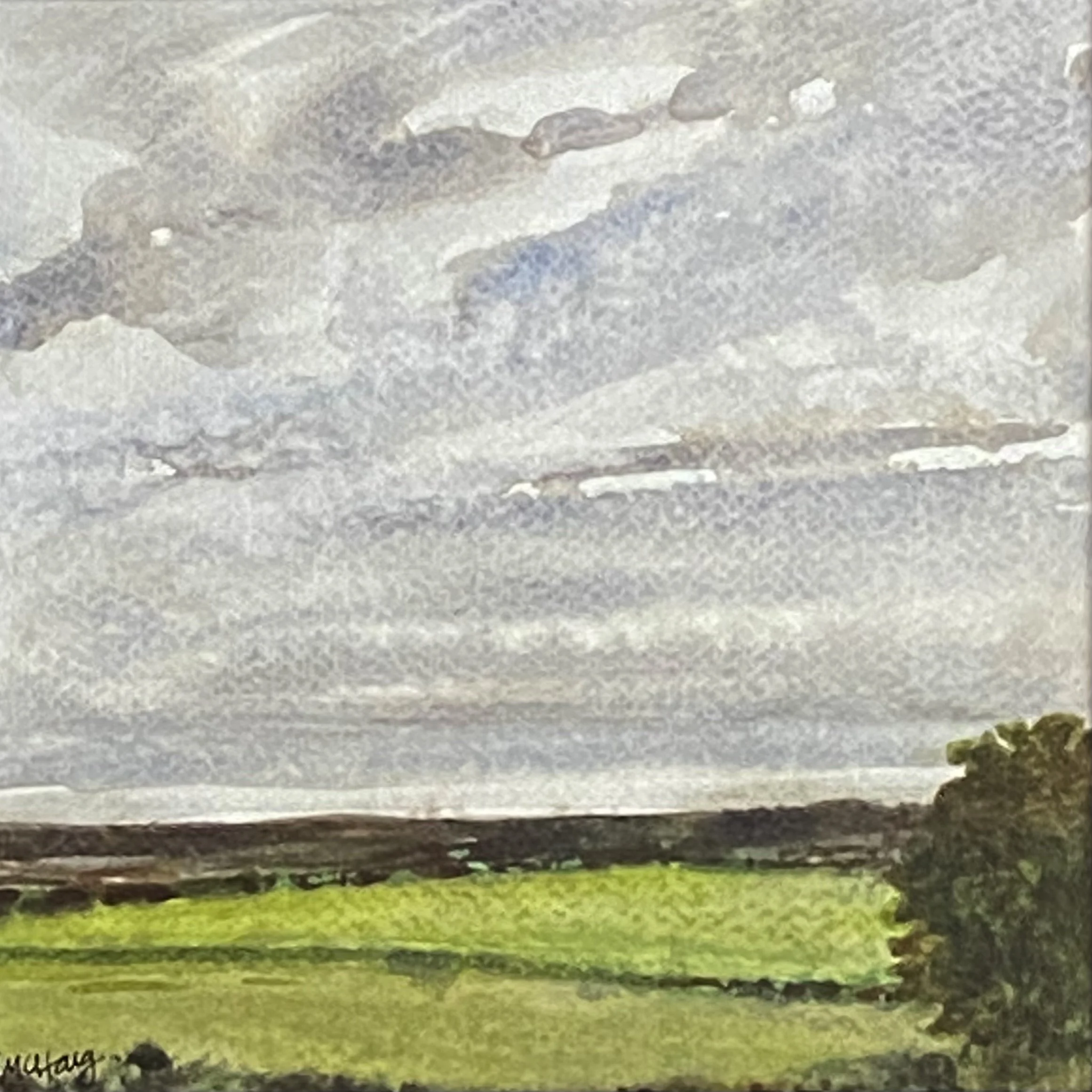 Katherine McHarg, "Cornish Hedgerows", 2026, Watercolour on Paper, 8" x 8", Sold