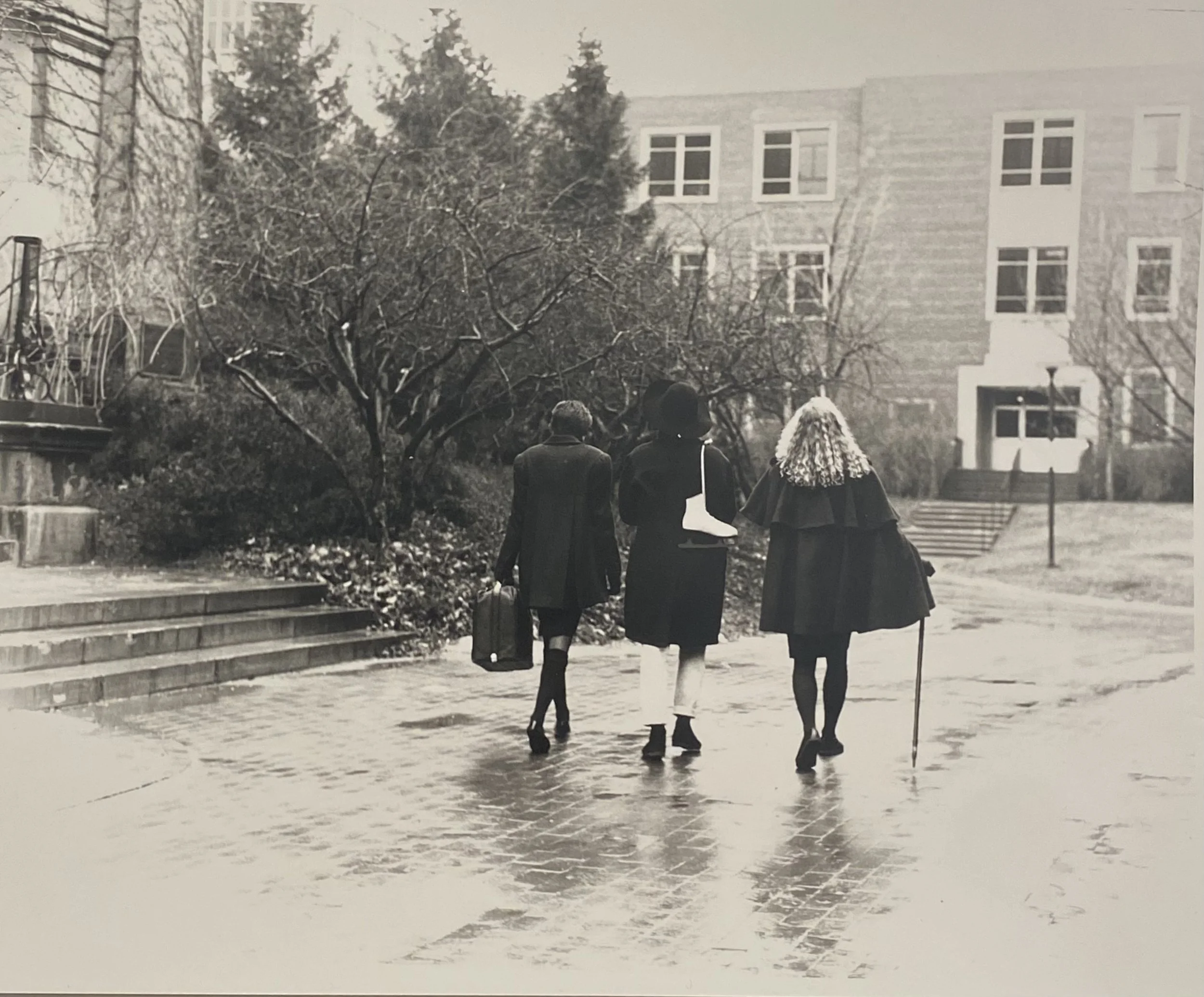 Third Year Wool Suiting Collection