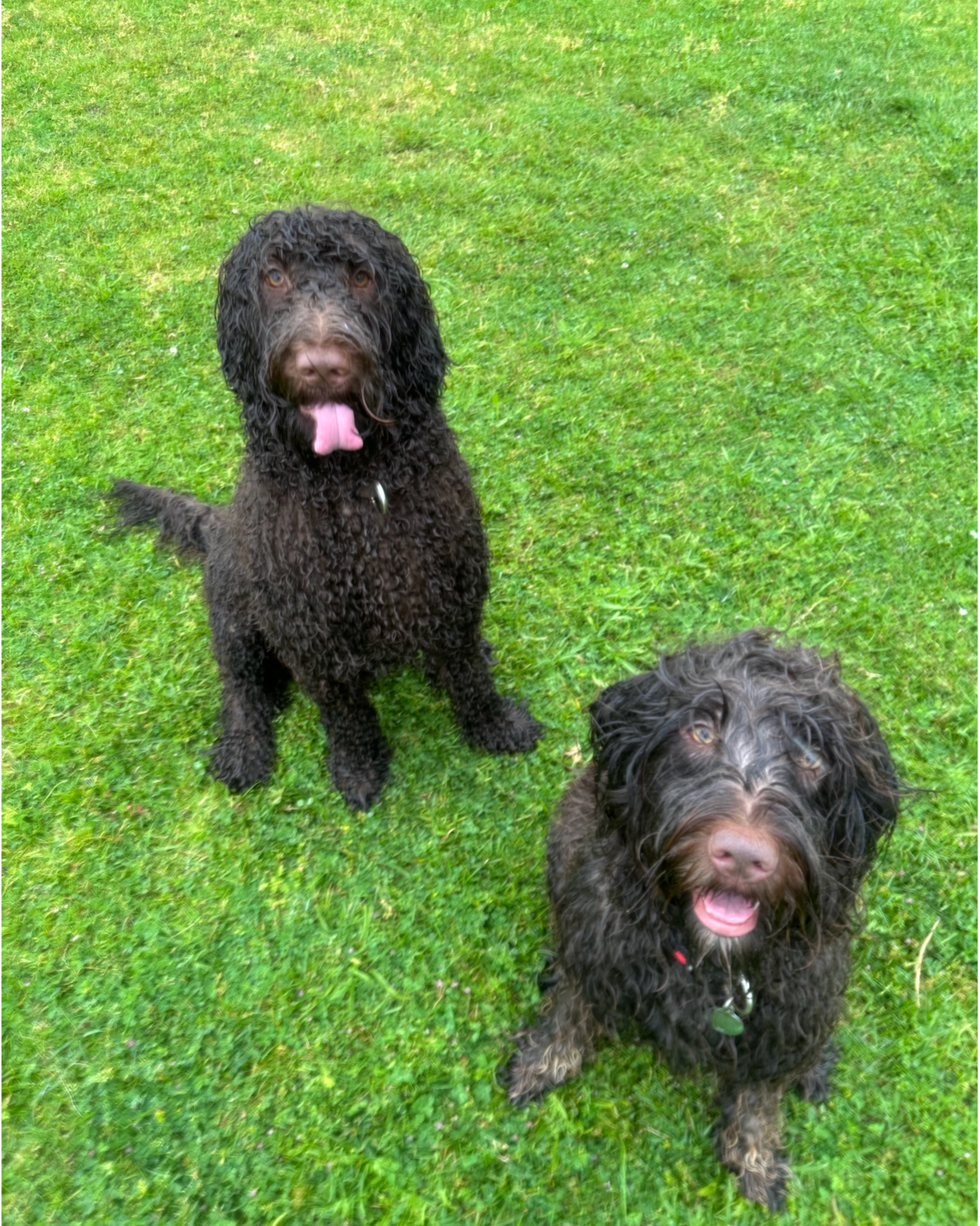 is a bath worth it if it rains tomorrow?