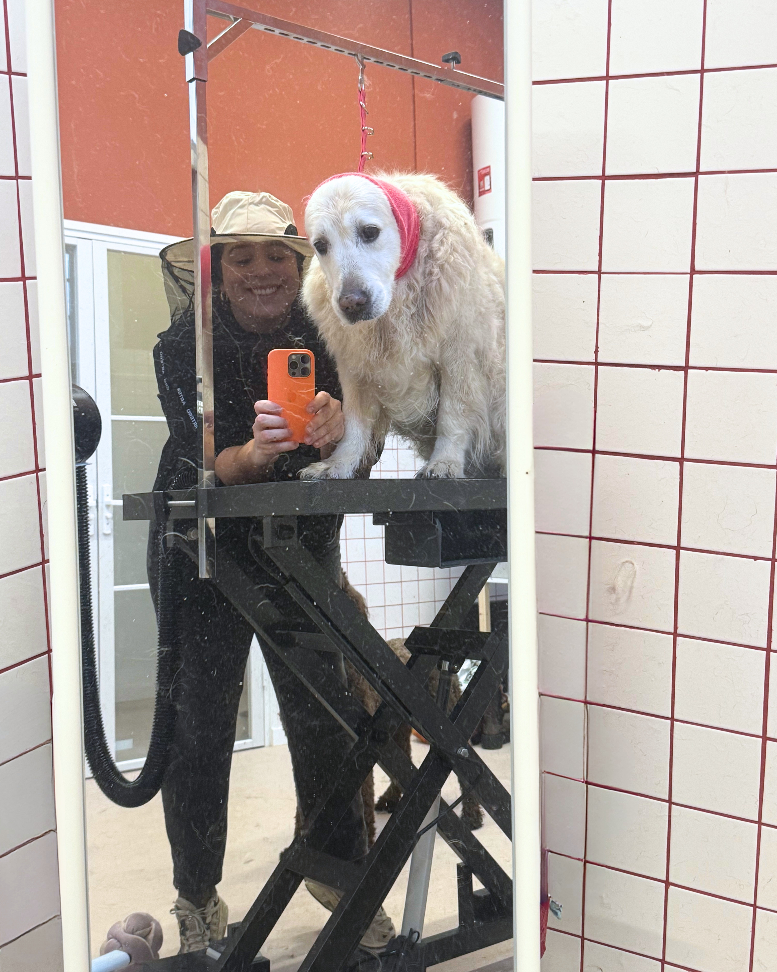 should i shave my double-coated dog in summer?
