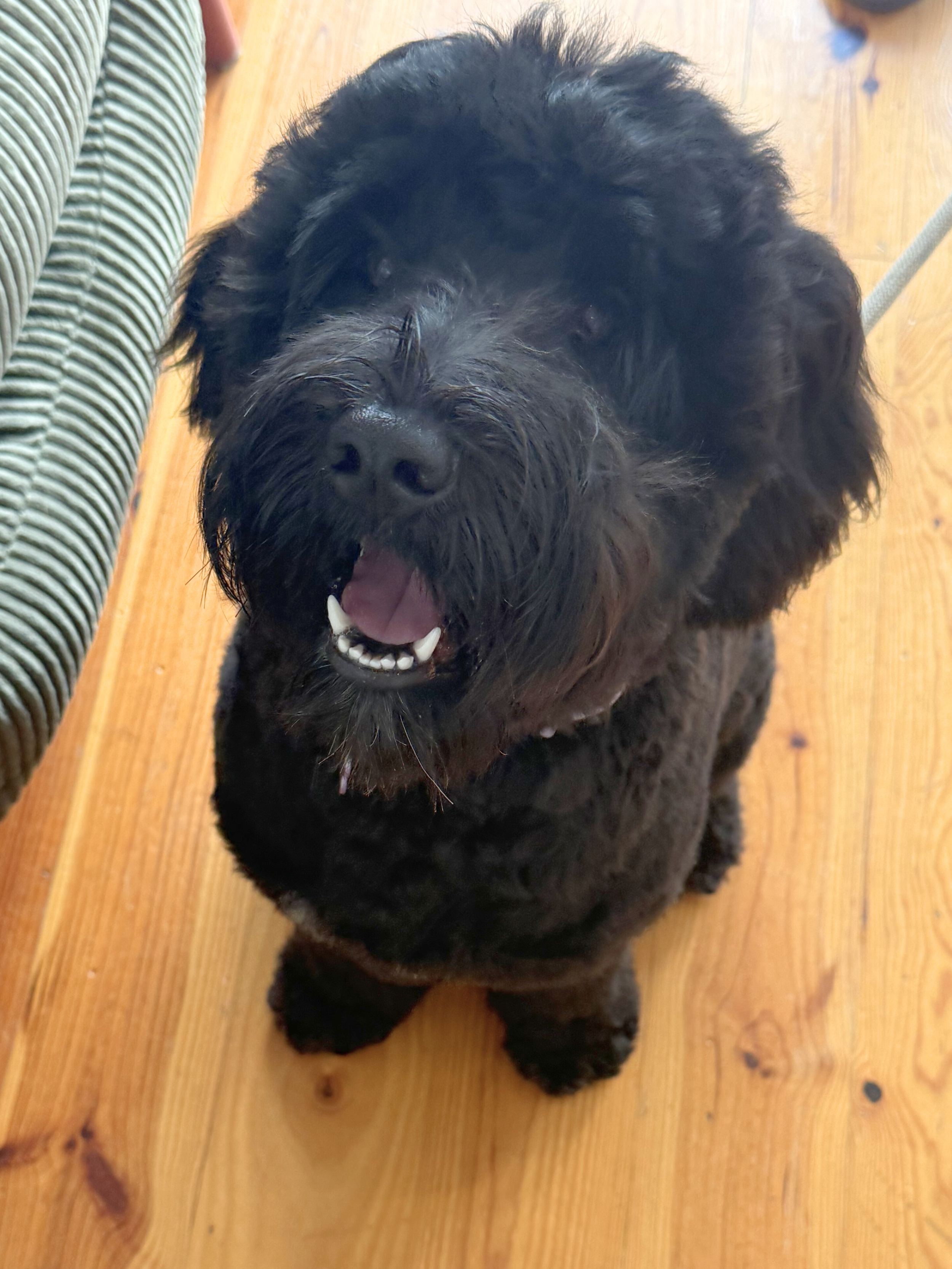 Untitled design (6).png