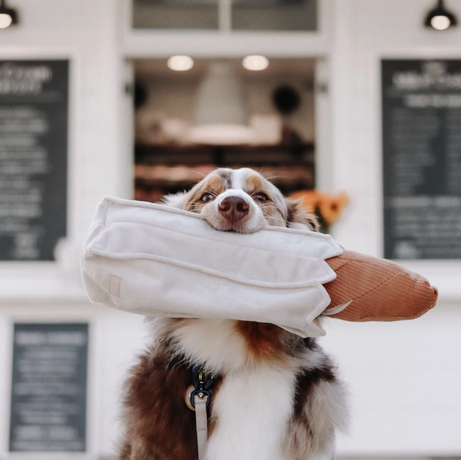 Screenshot 2025-12-01 at 14.01.34.png