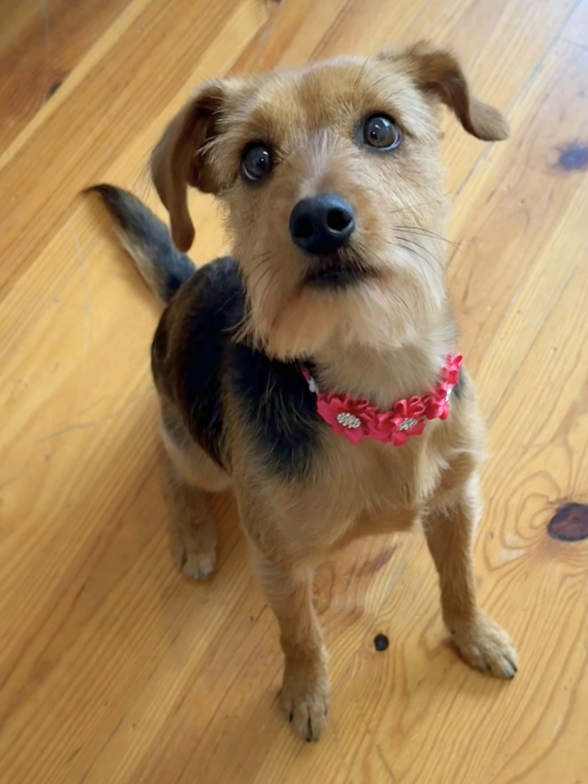 Untitled design (8).png