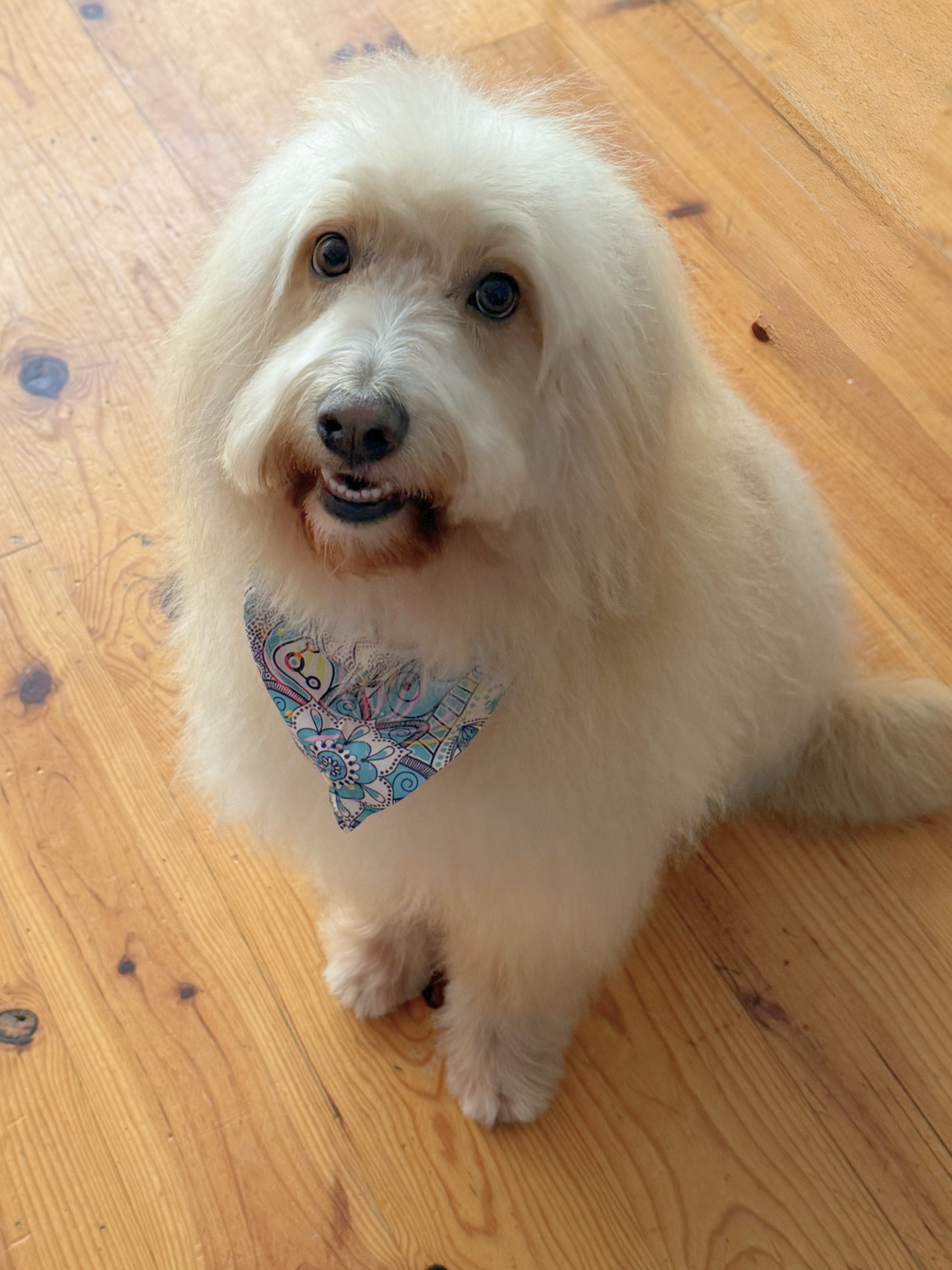 Untitled design (12).png