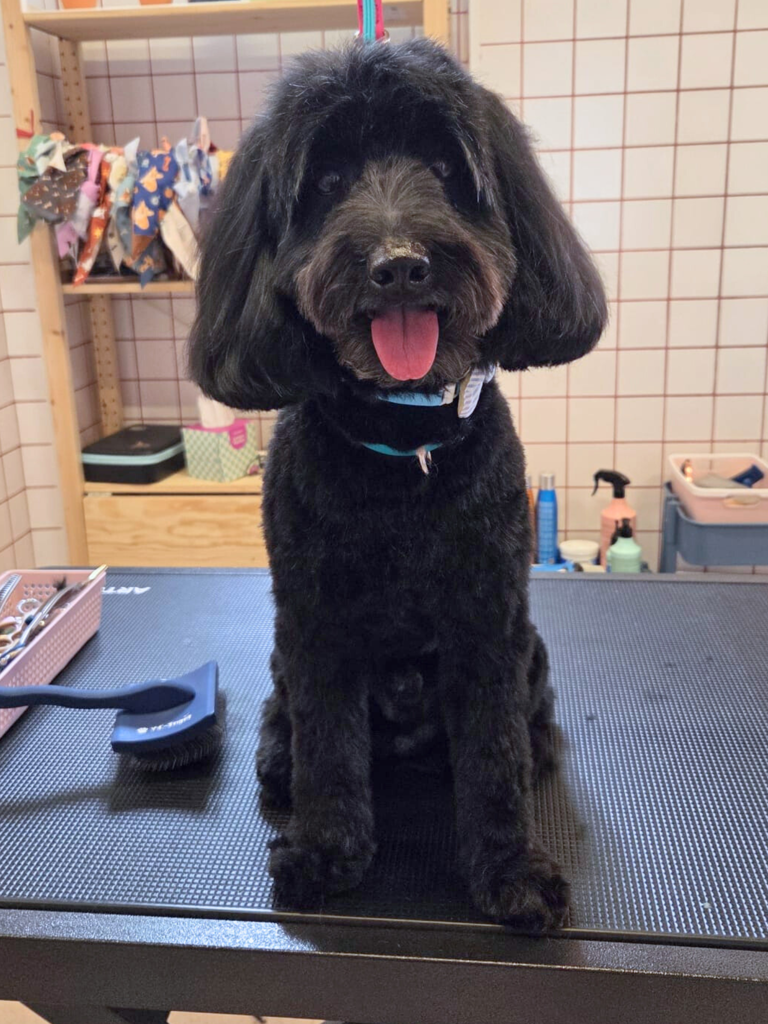 Untitled design (9).png