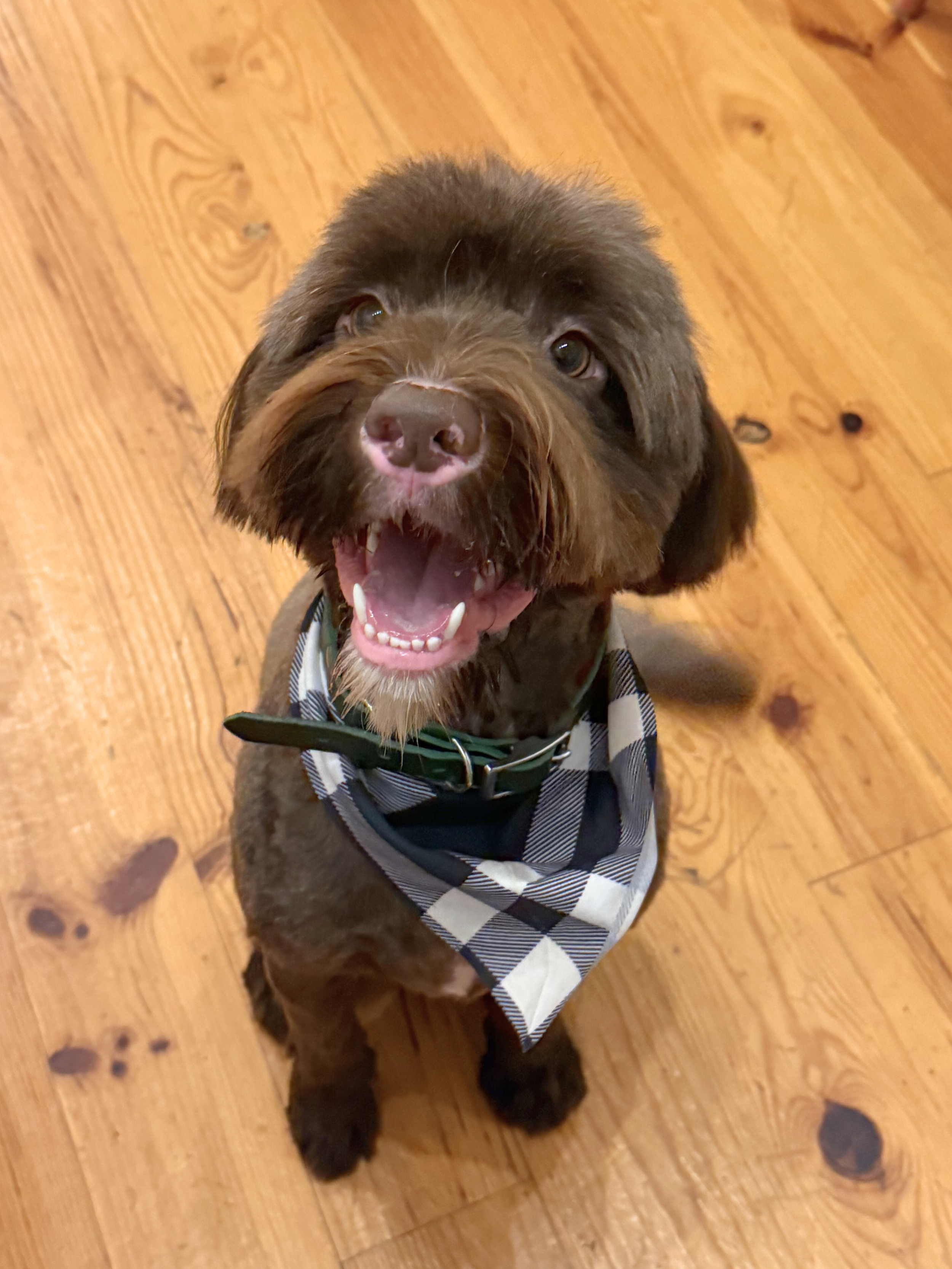 Untitled design (3).png