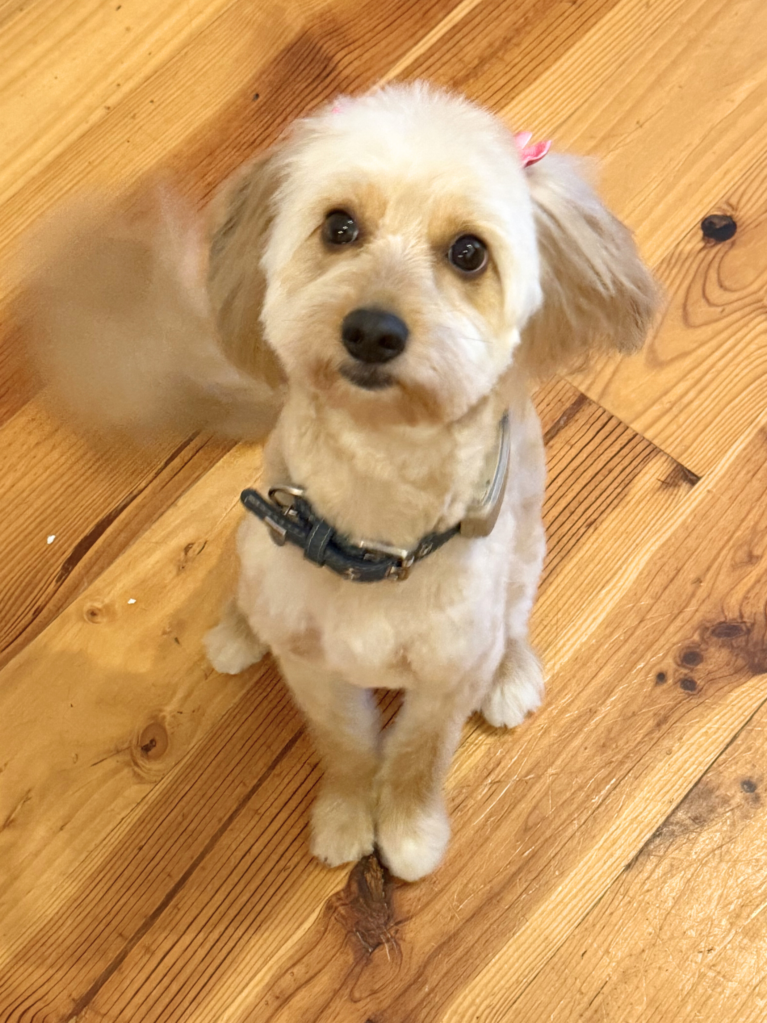 Untitled design (16).png