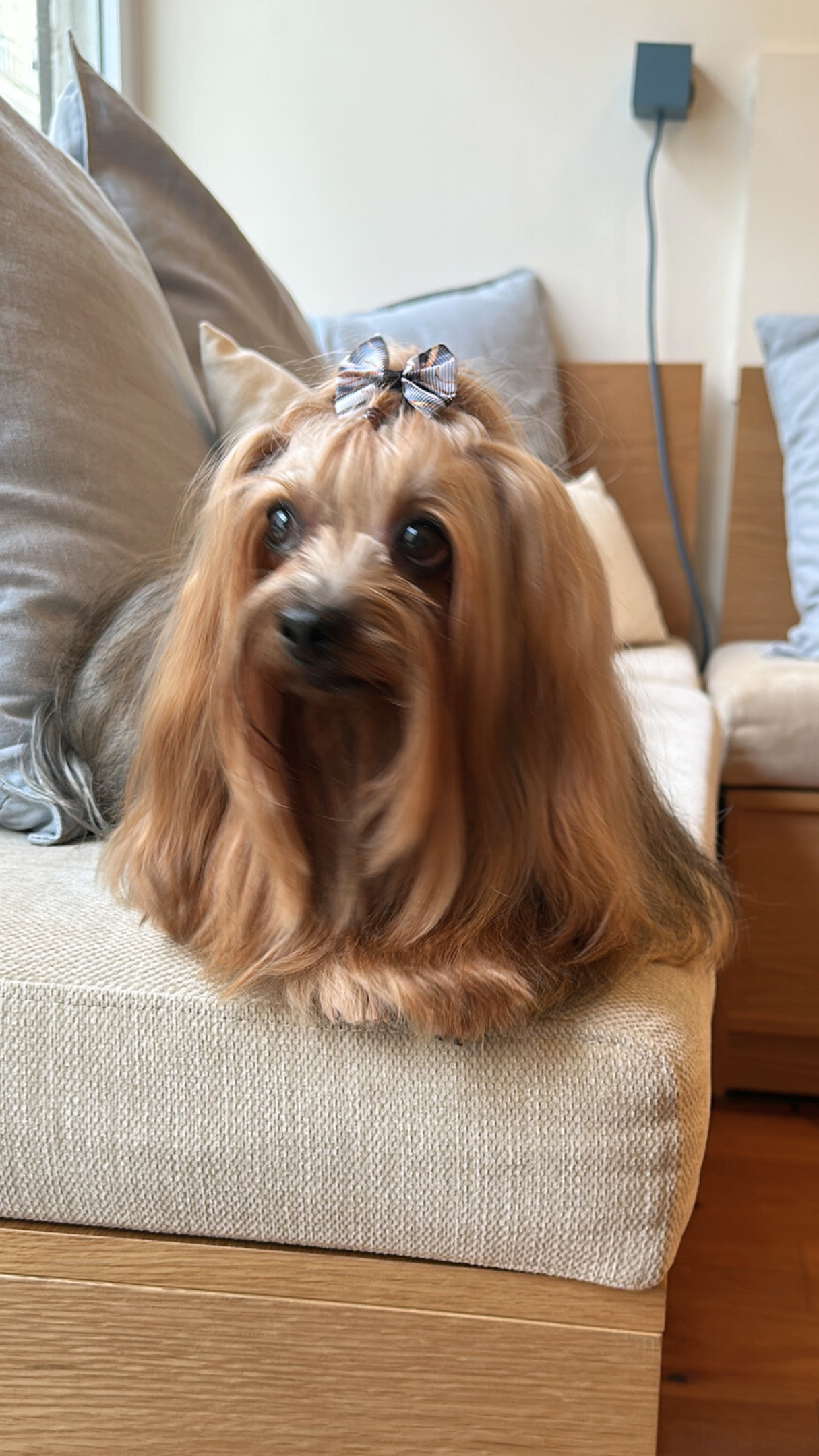 Untitled design (20).png