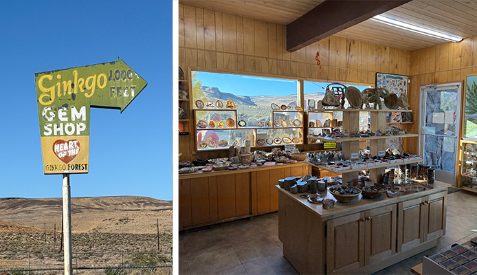 Hidden Gem of Vantage: The Gingko Gem Shop