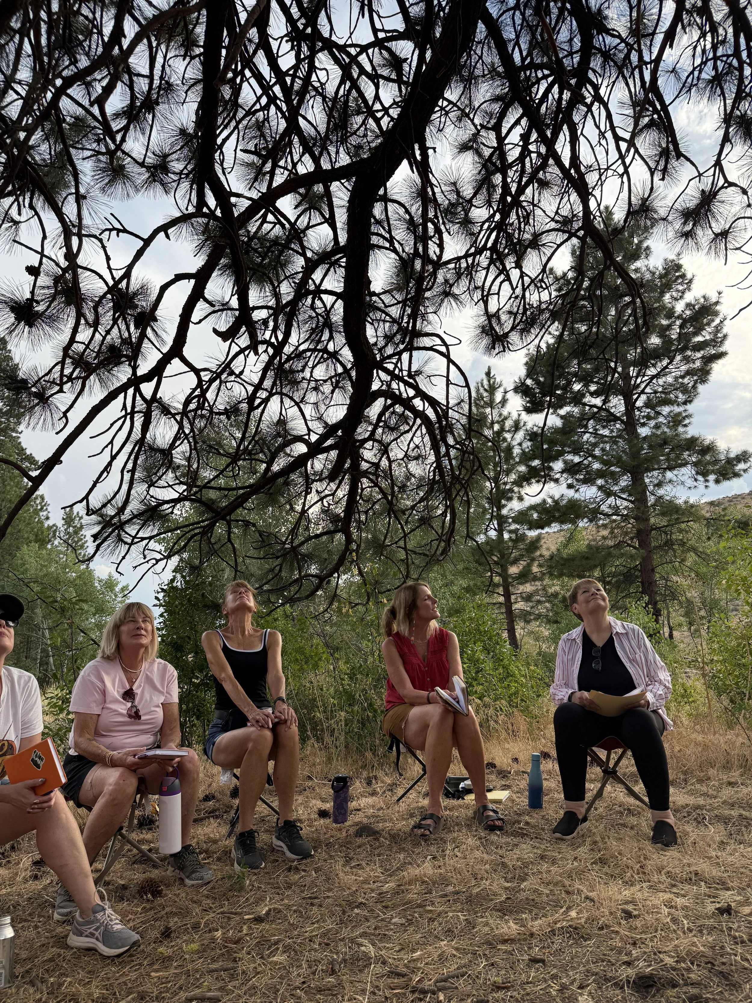 Woodland-Findings-Women-Under-Burned-Tree.jpeg