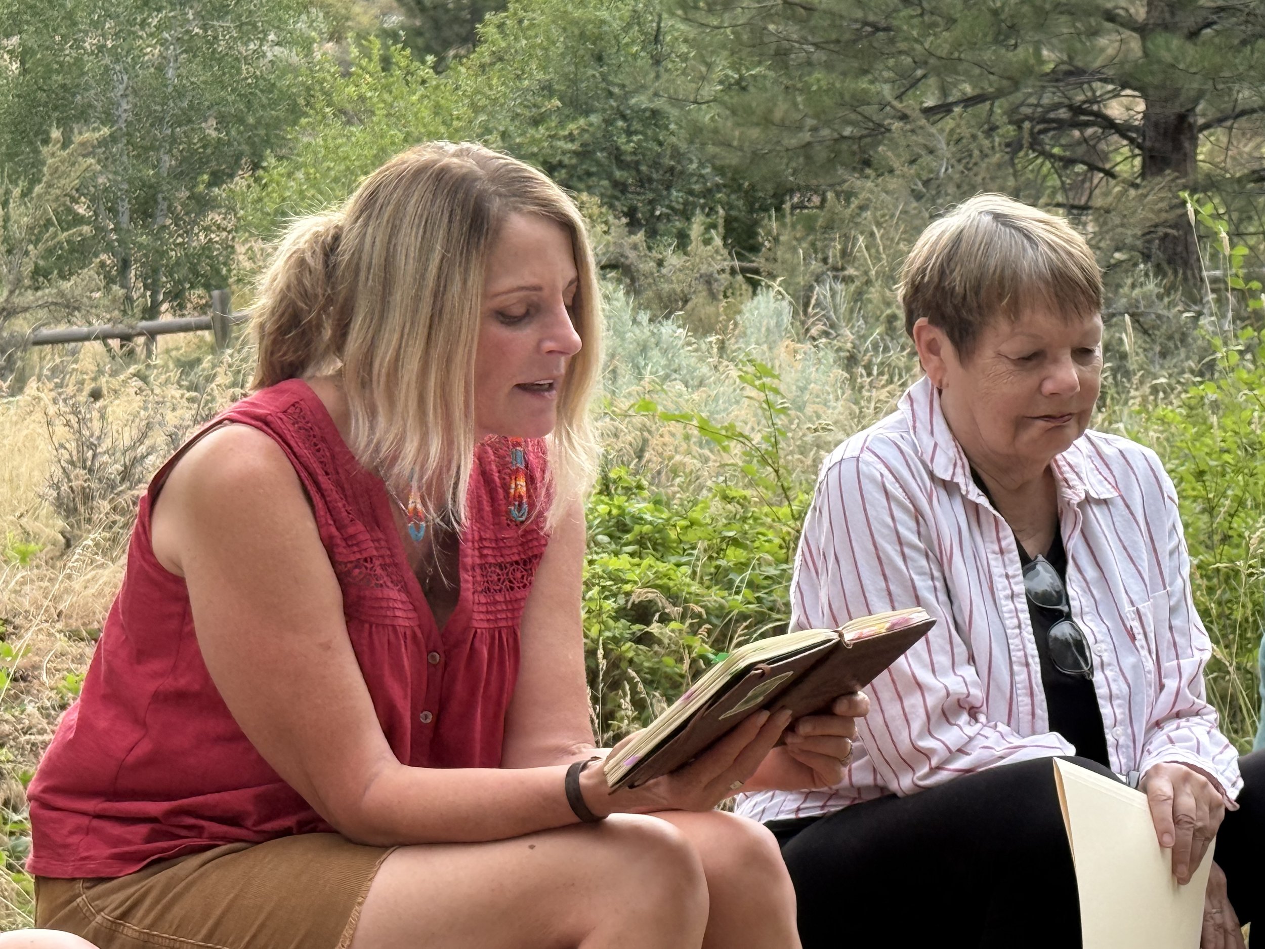 Woodland-Findings-Dawn-Ambrose-Reading-and-Susan-Gregory.jpeg