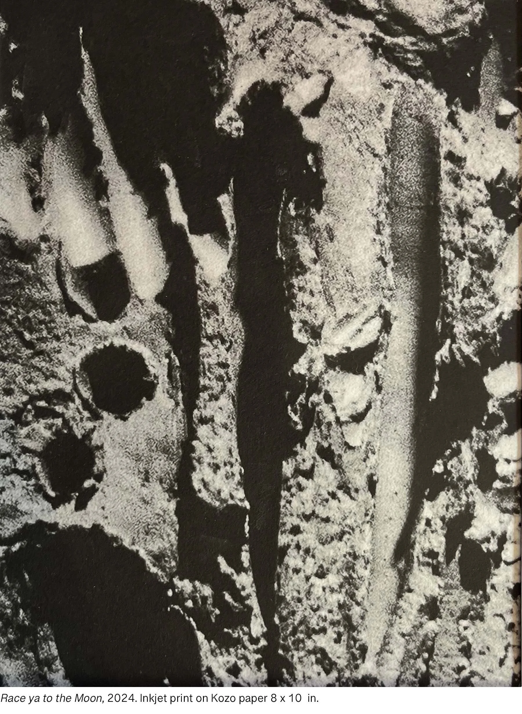 race to the moon_.jpg