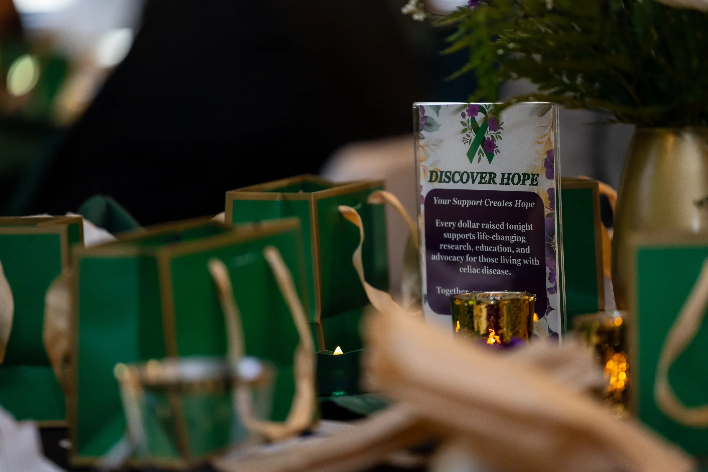 2026 Emerald Benefit (234 of 409).jpg