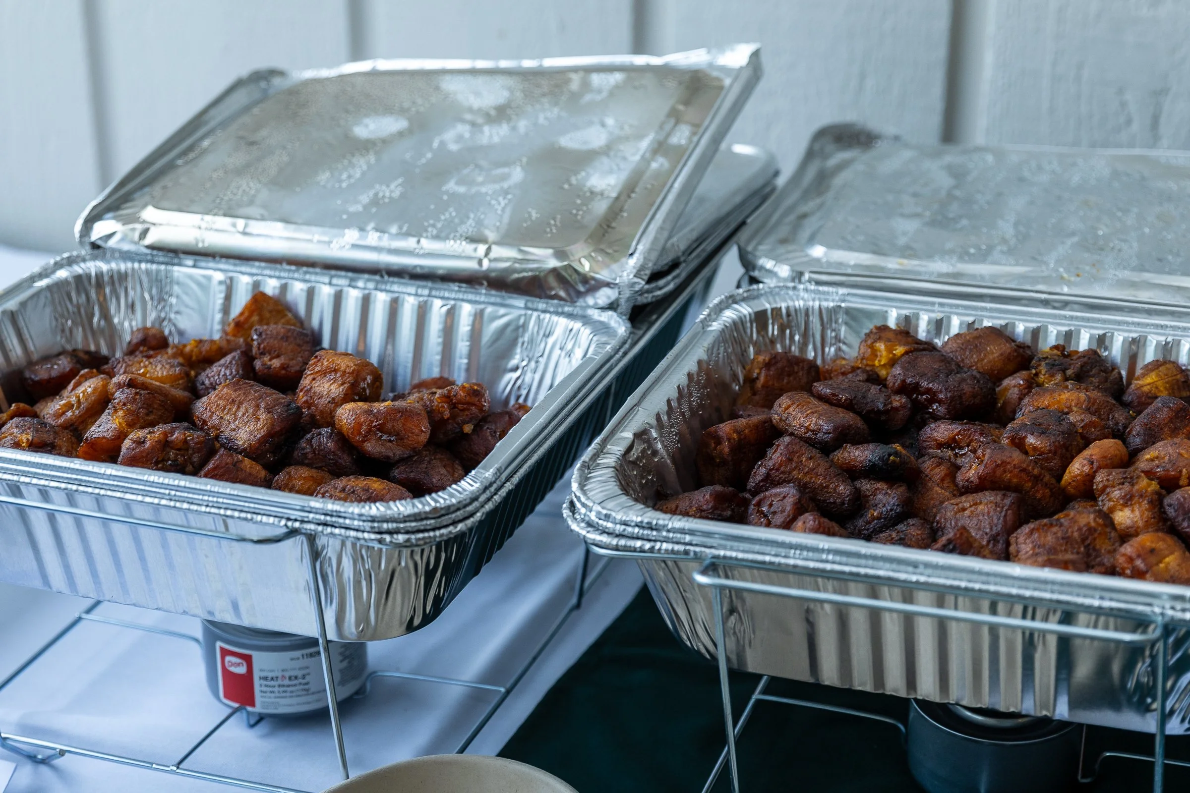 2026 Emerald Benefit (29 of 409).jpg