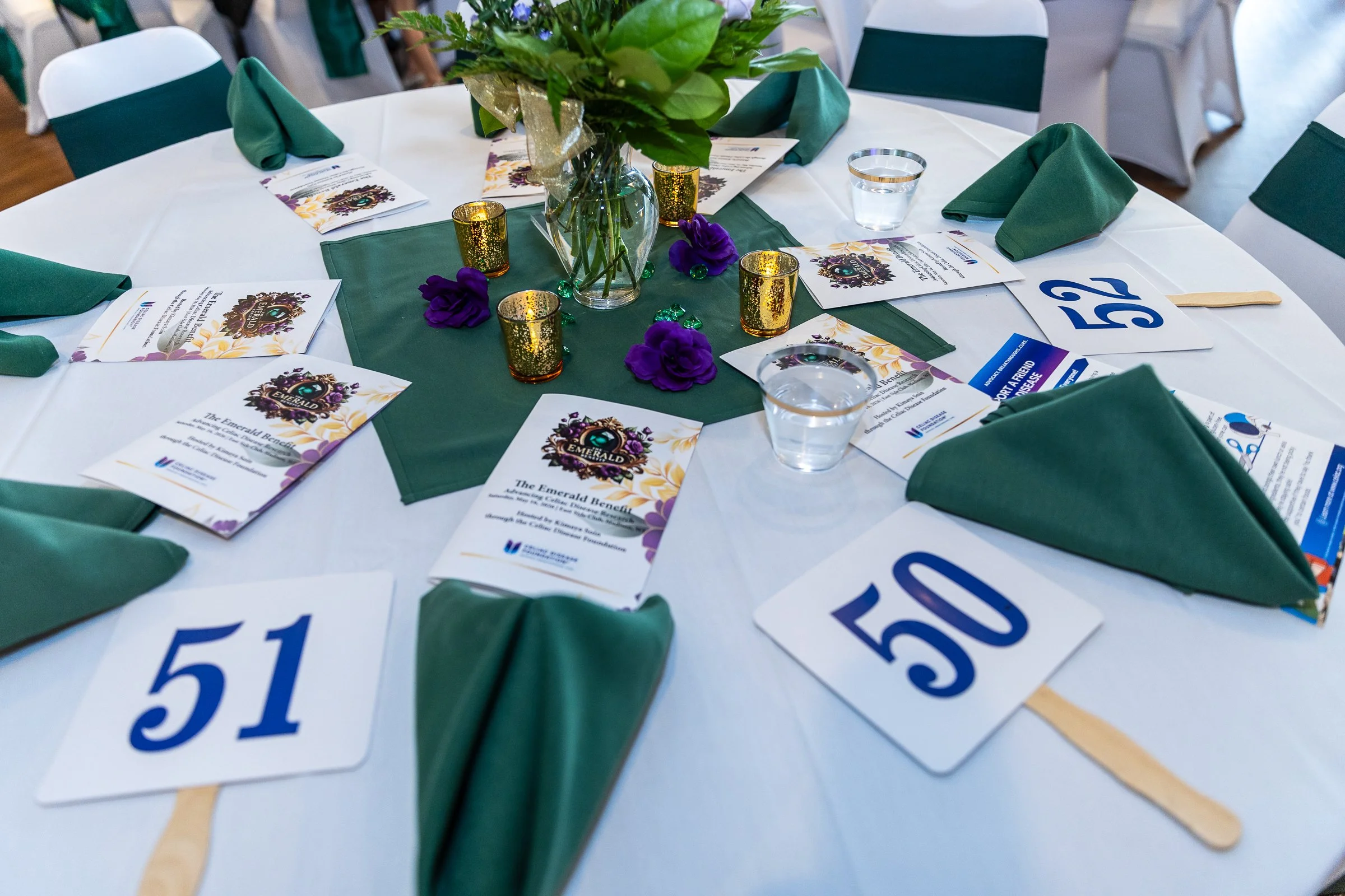 2026 Emerald Benefit (42 of 409).jpg