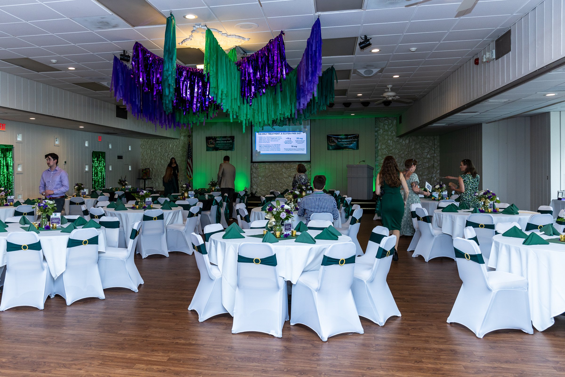 2026 Emerald Benefit (19 of 409).jpg