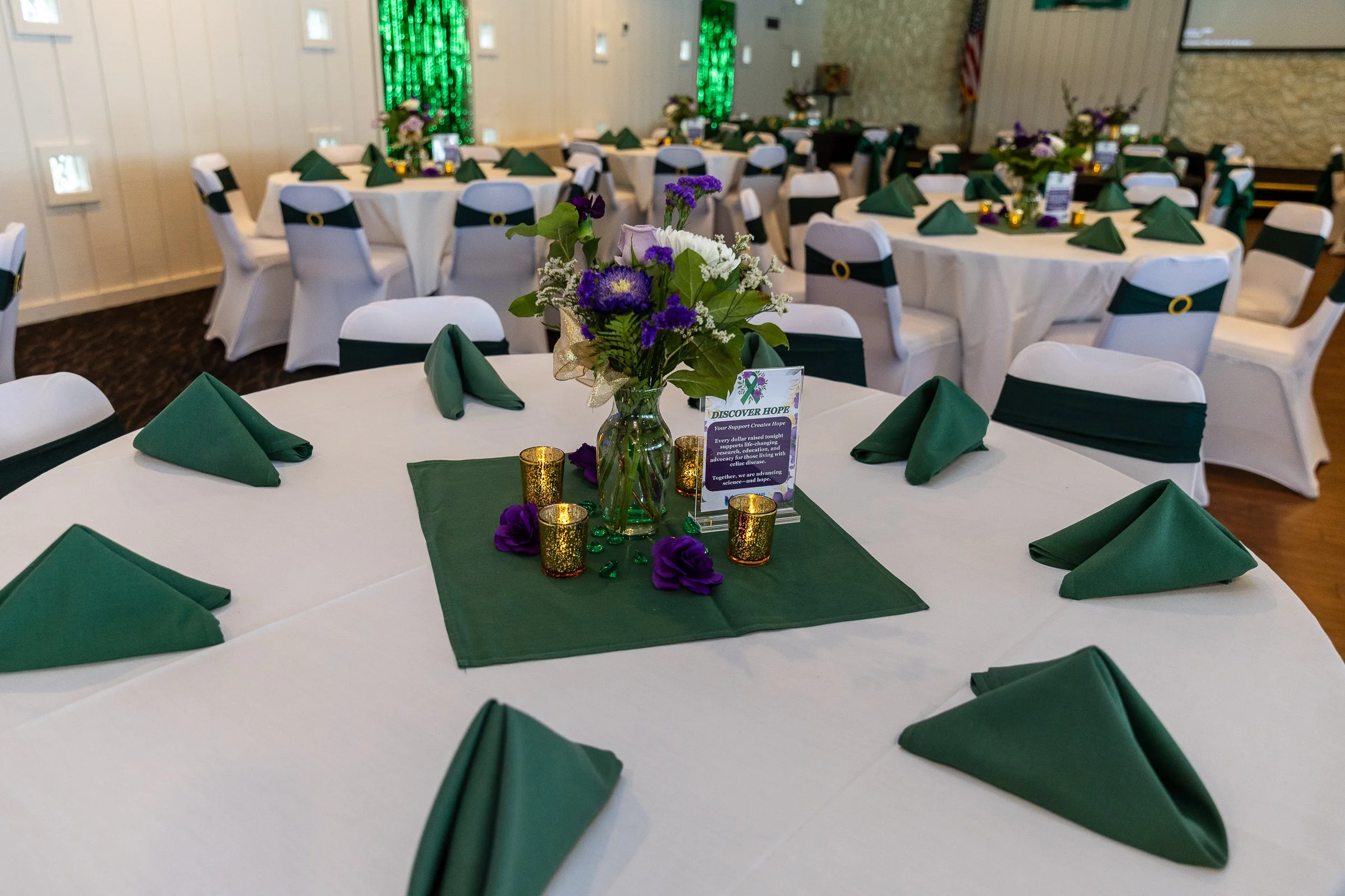 2026 Emerald Benefit (2 of 409).jpg