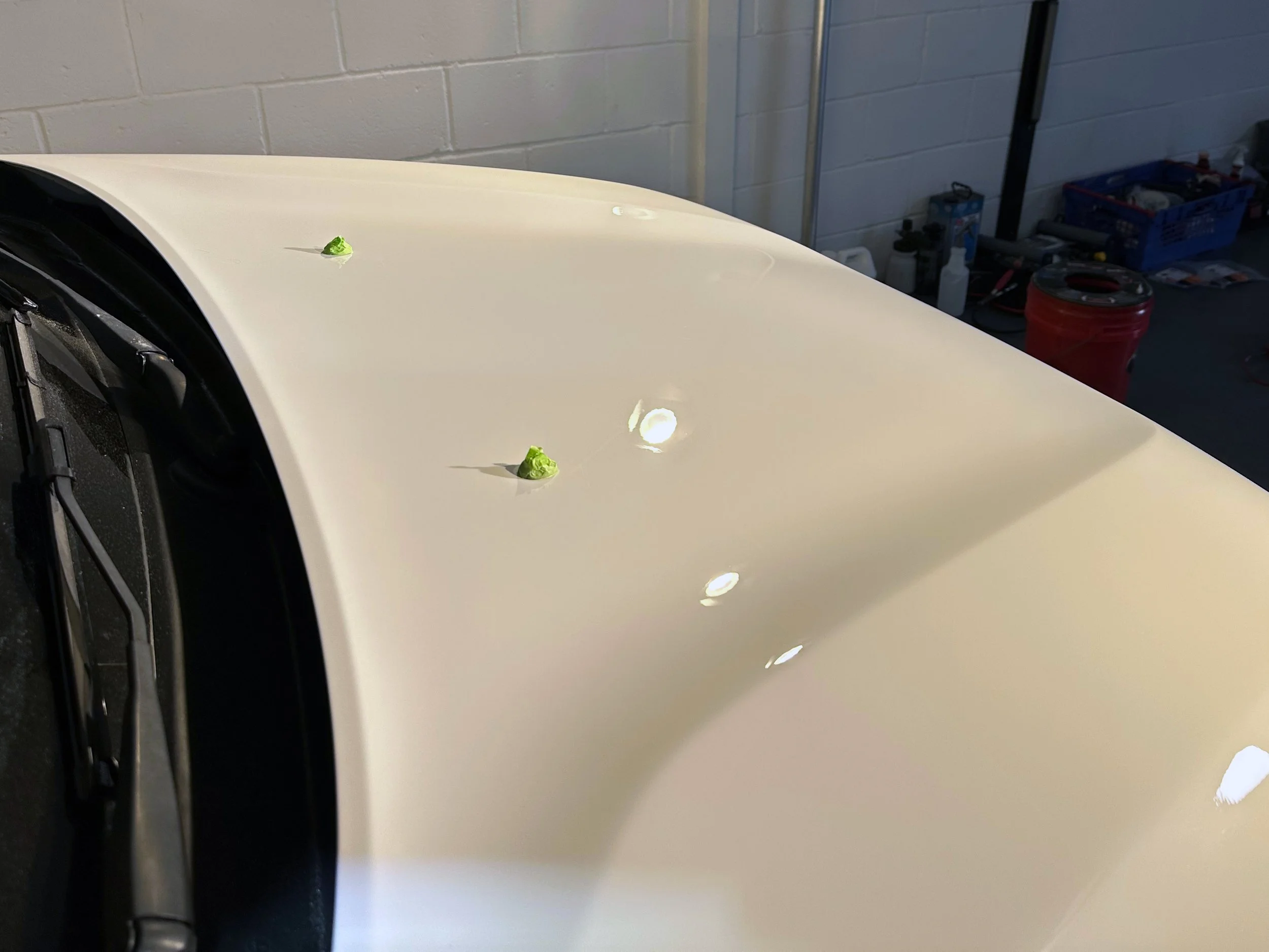 paint polishing brighton and hove – correction detail after with extra gloss