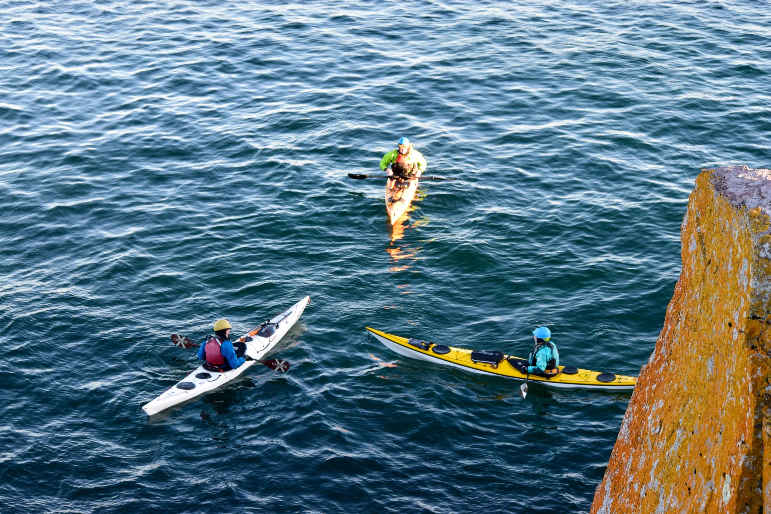 The Gales 2025-15.jpg